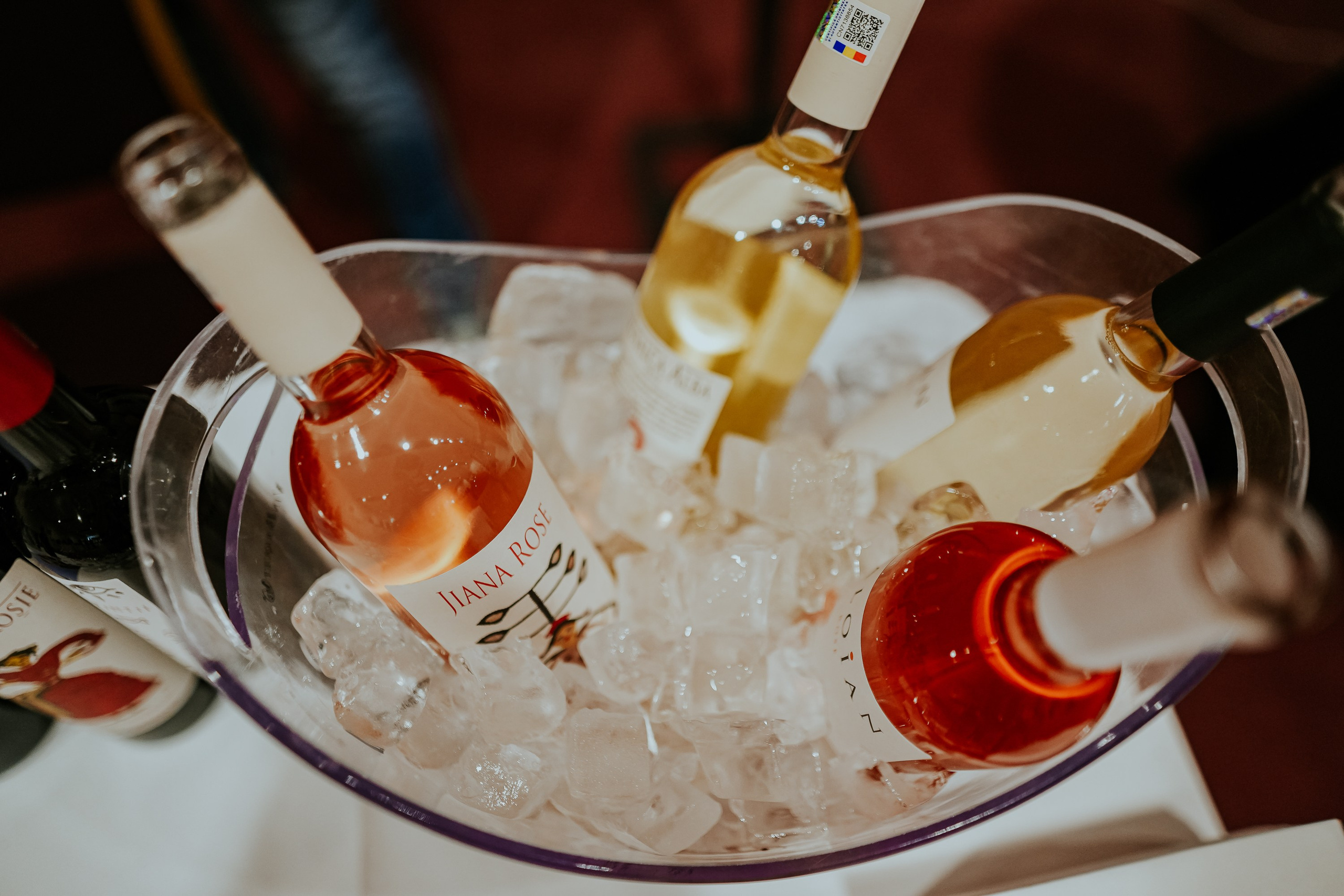 Hai cu Pluta — Wine Event. MARINABUGS