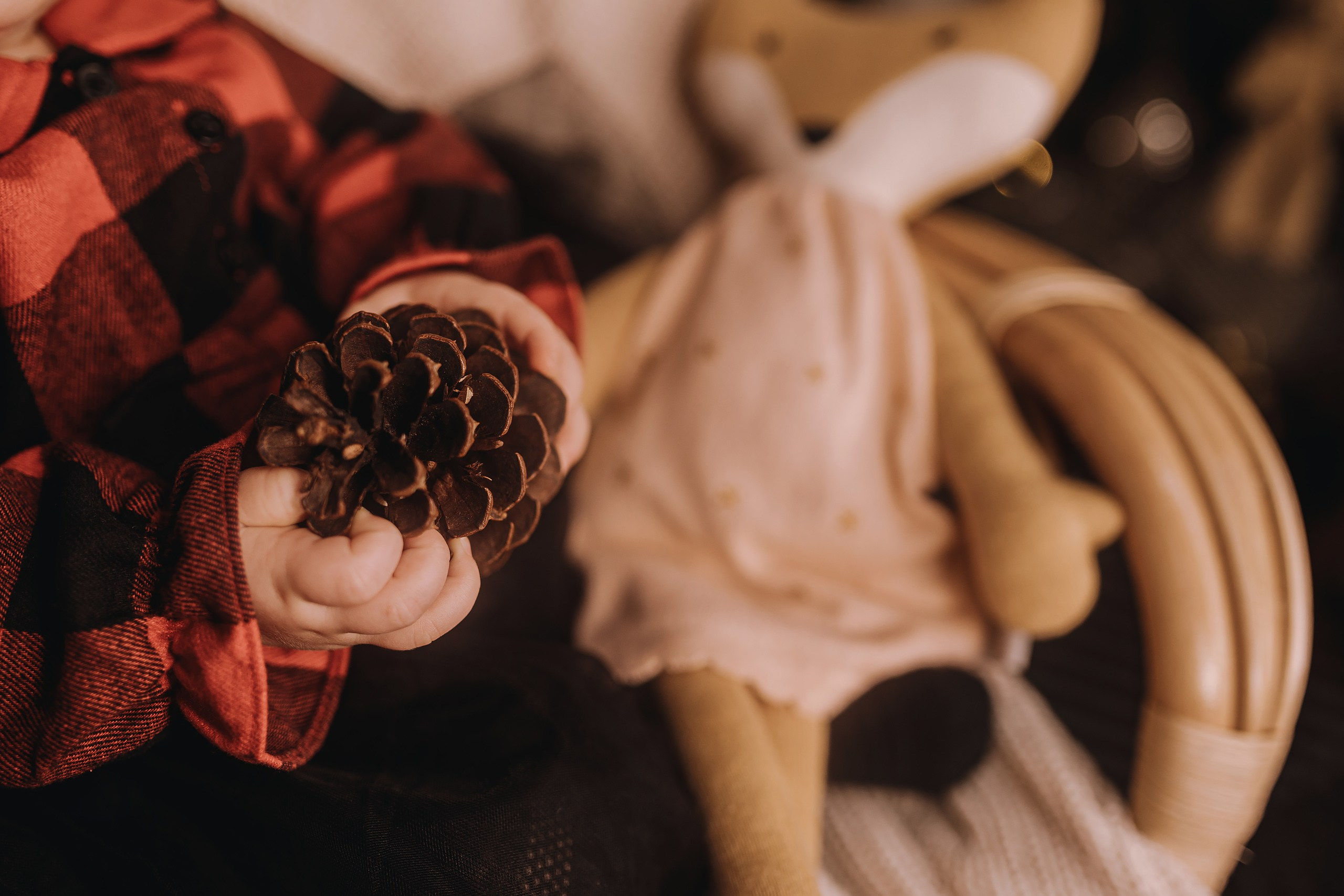 25.11.2023 Christmas Photoshoot 1. Wedding family event photographer in Chicago Nick Yushevich