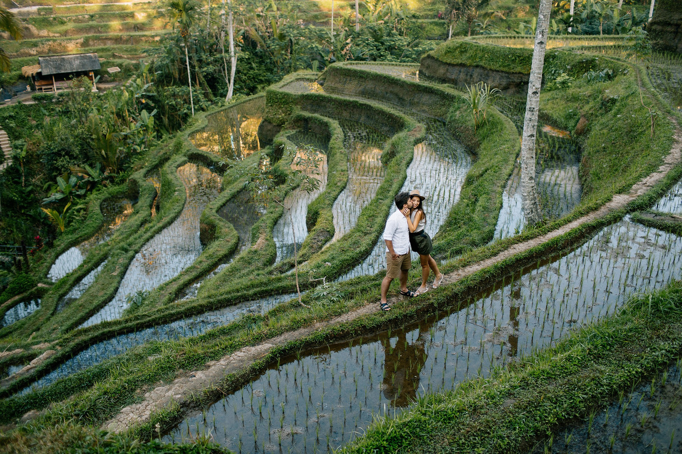 Rice terraces + waterfall. Getitfeel — Aesthetic Photography and Videography