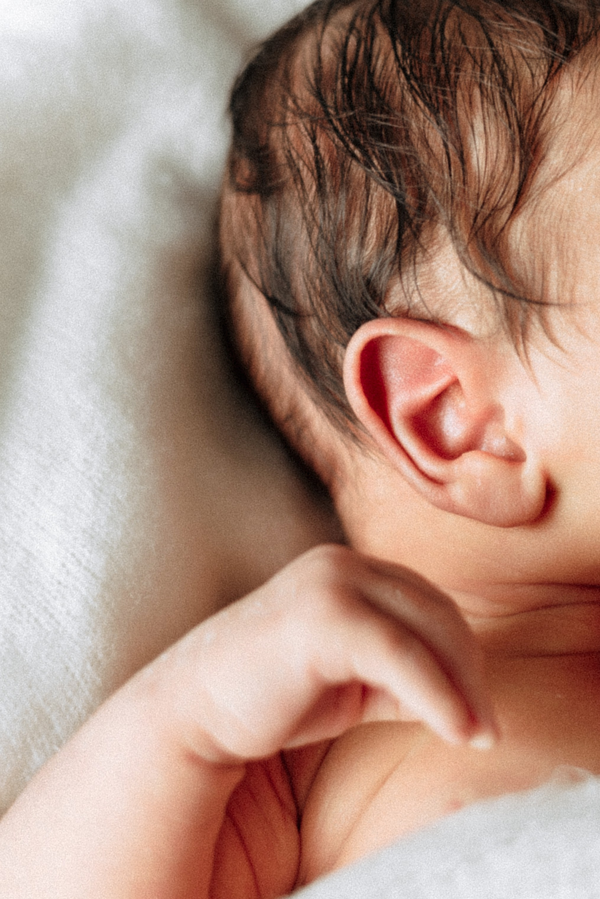 Family photography. Aigul Photography — wedding, newborn, and family photographer