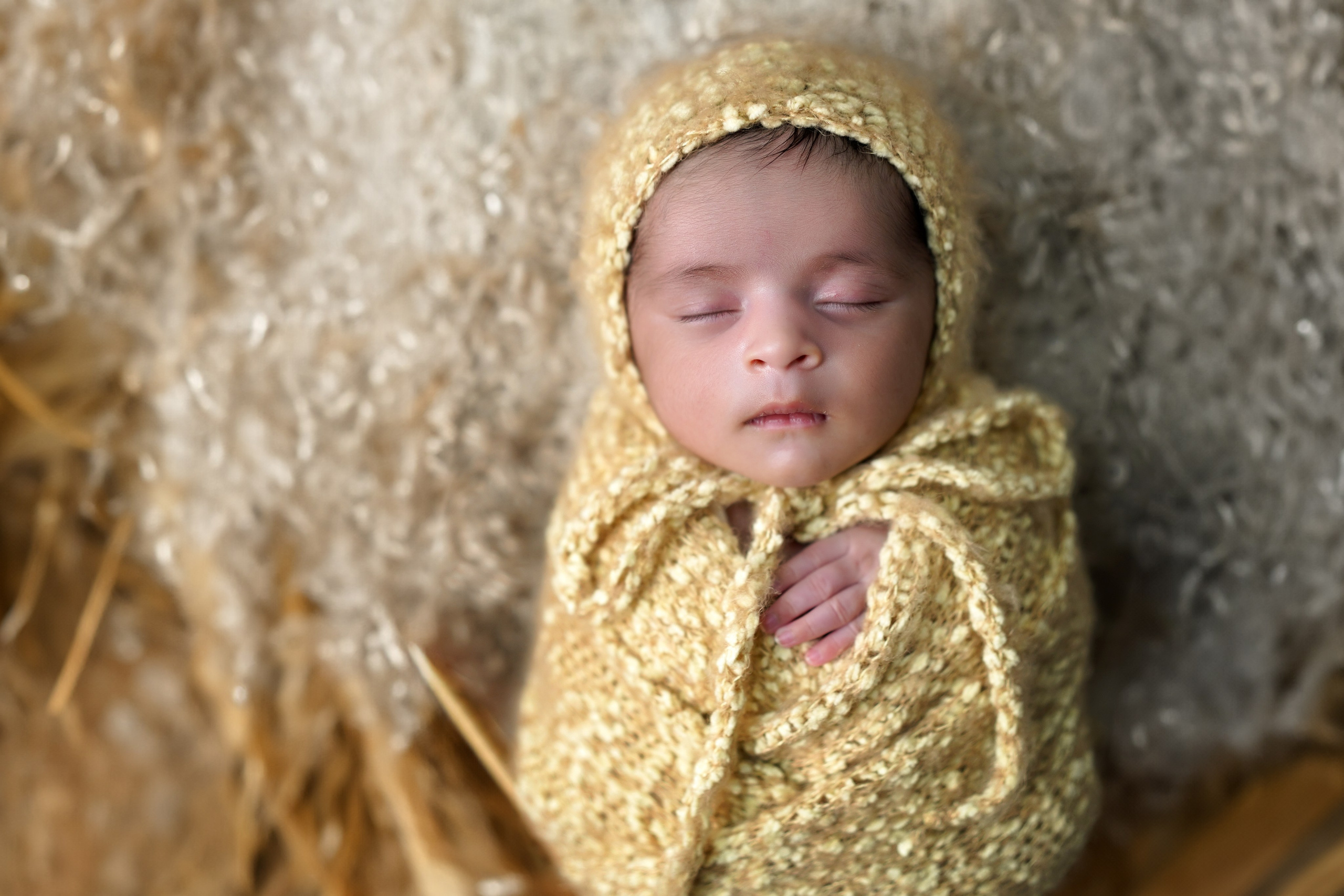 New born. TNF photo & filming