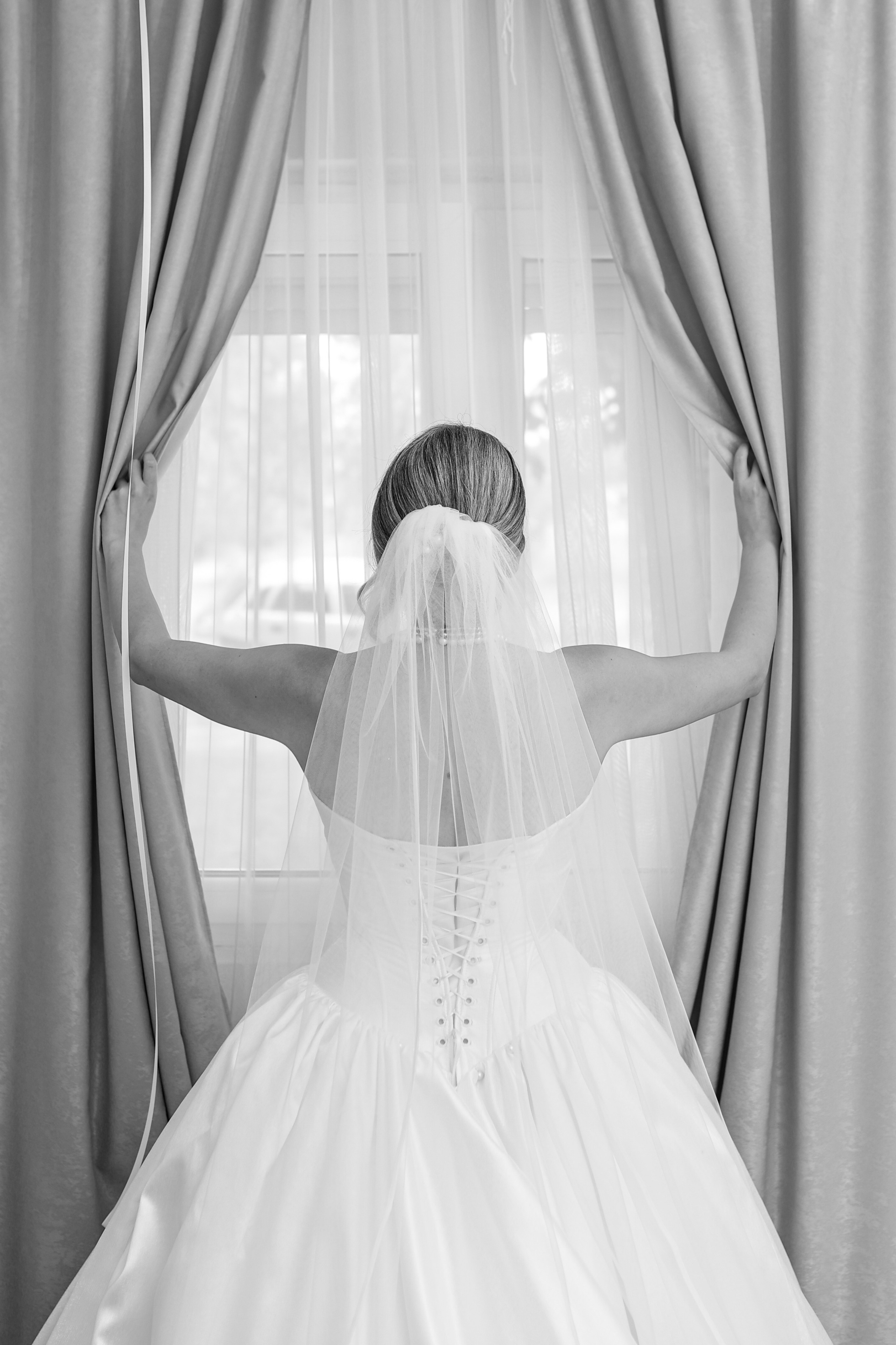 Wedding’s. Filić Aleksandar