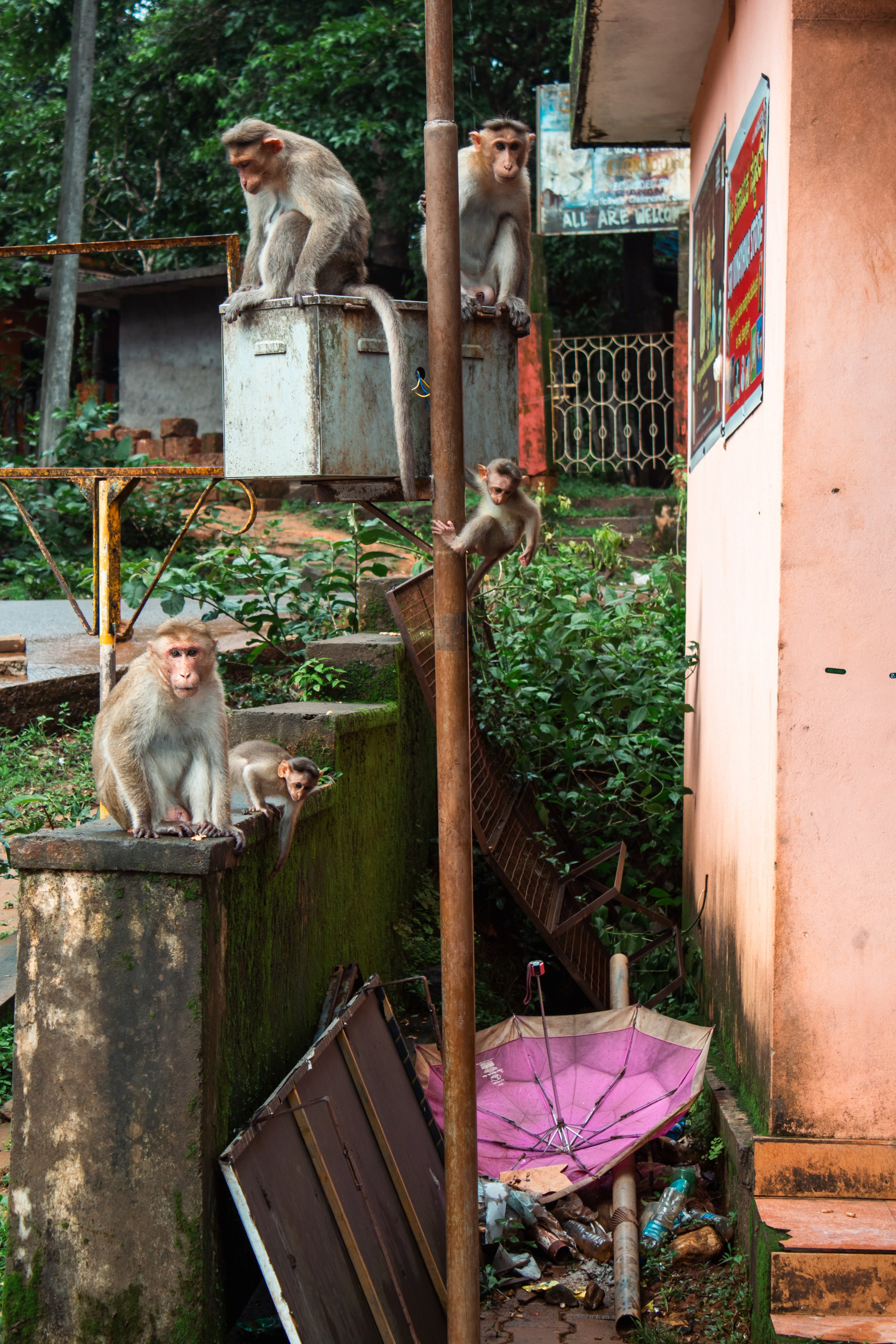 India. Look Around You