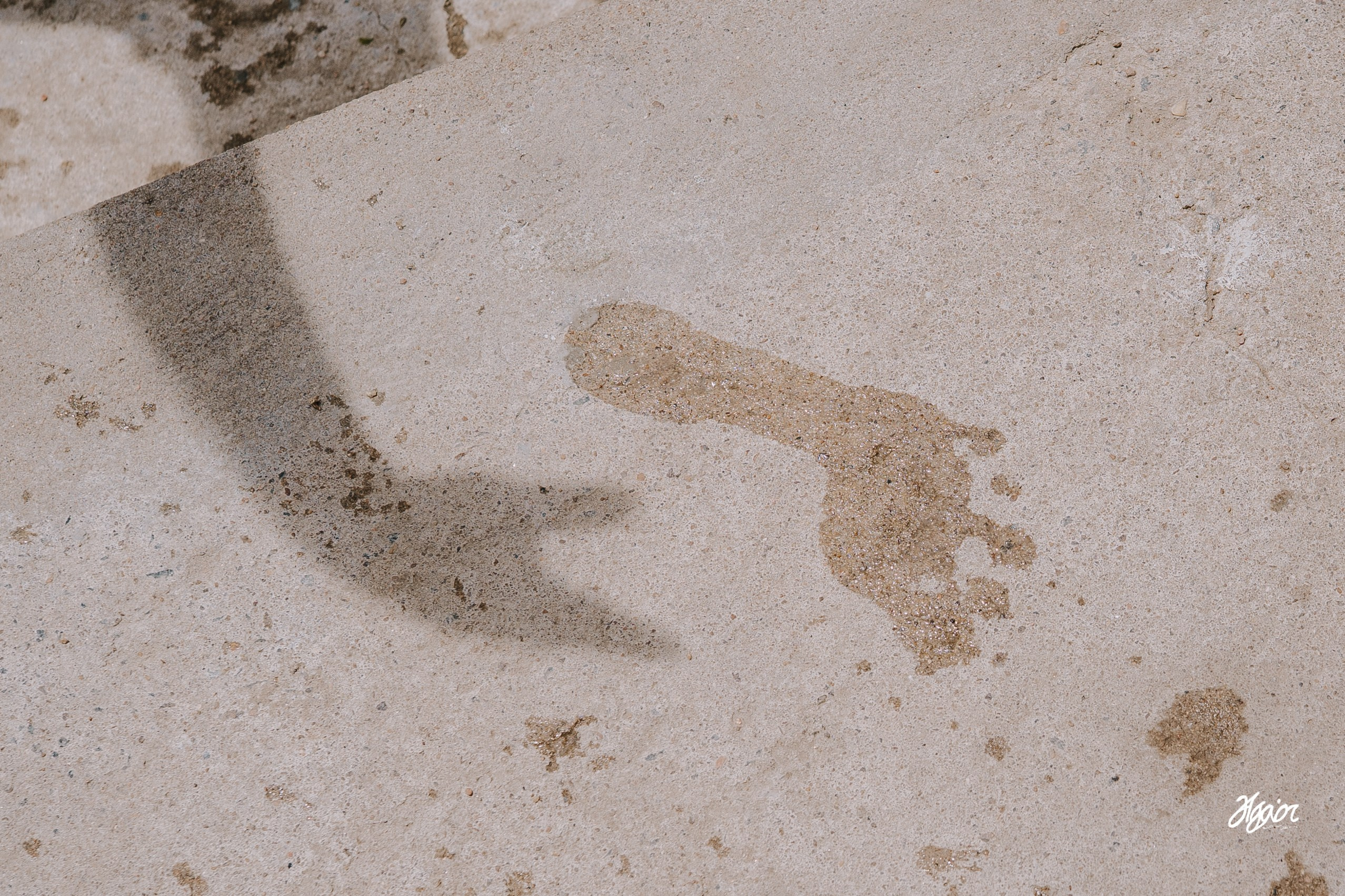 A Decade of Love, Sealed in a Soulful Agam Vizha. Agam Vizha