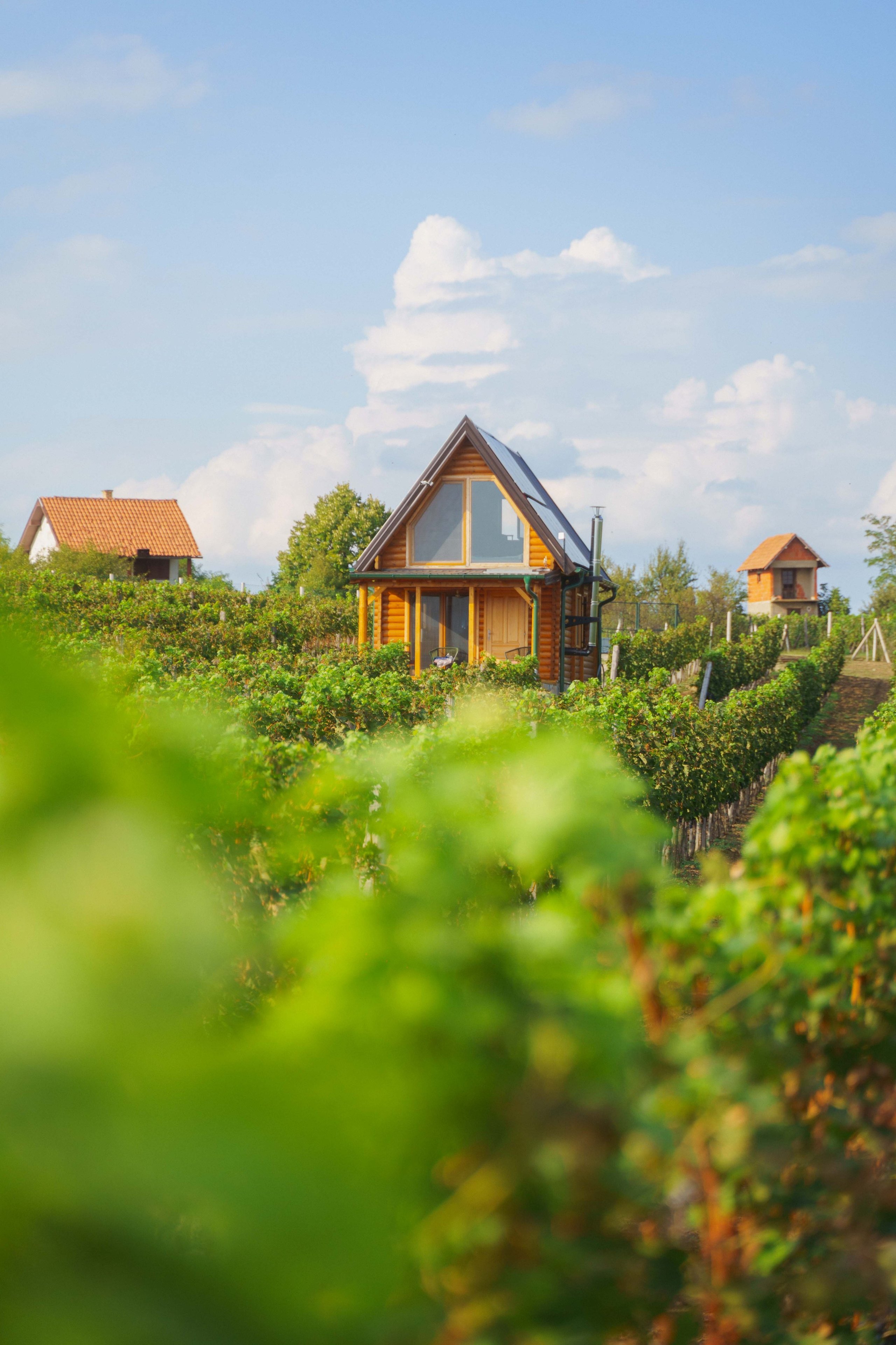 Jeep Commerce Event. Žukov Studio