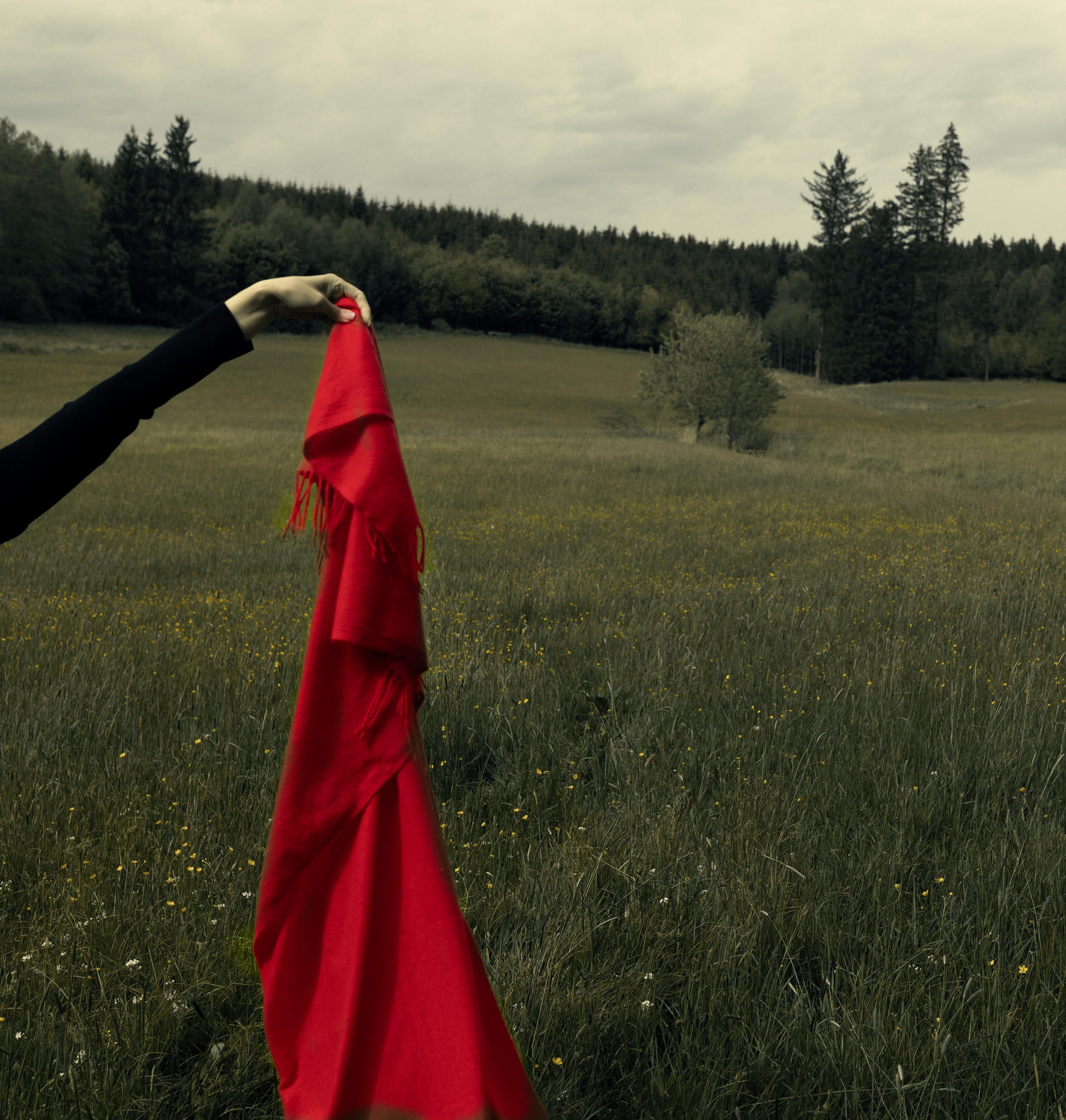 ZWISCHEN HIMMEL UND GRAS. Natalia Olfert Fotografie