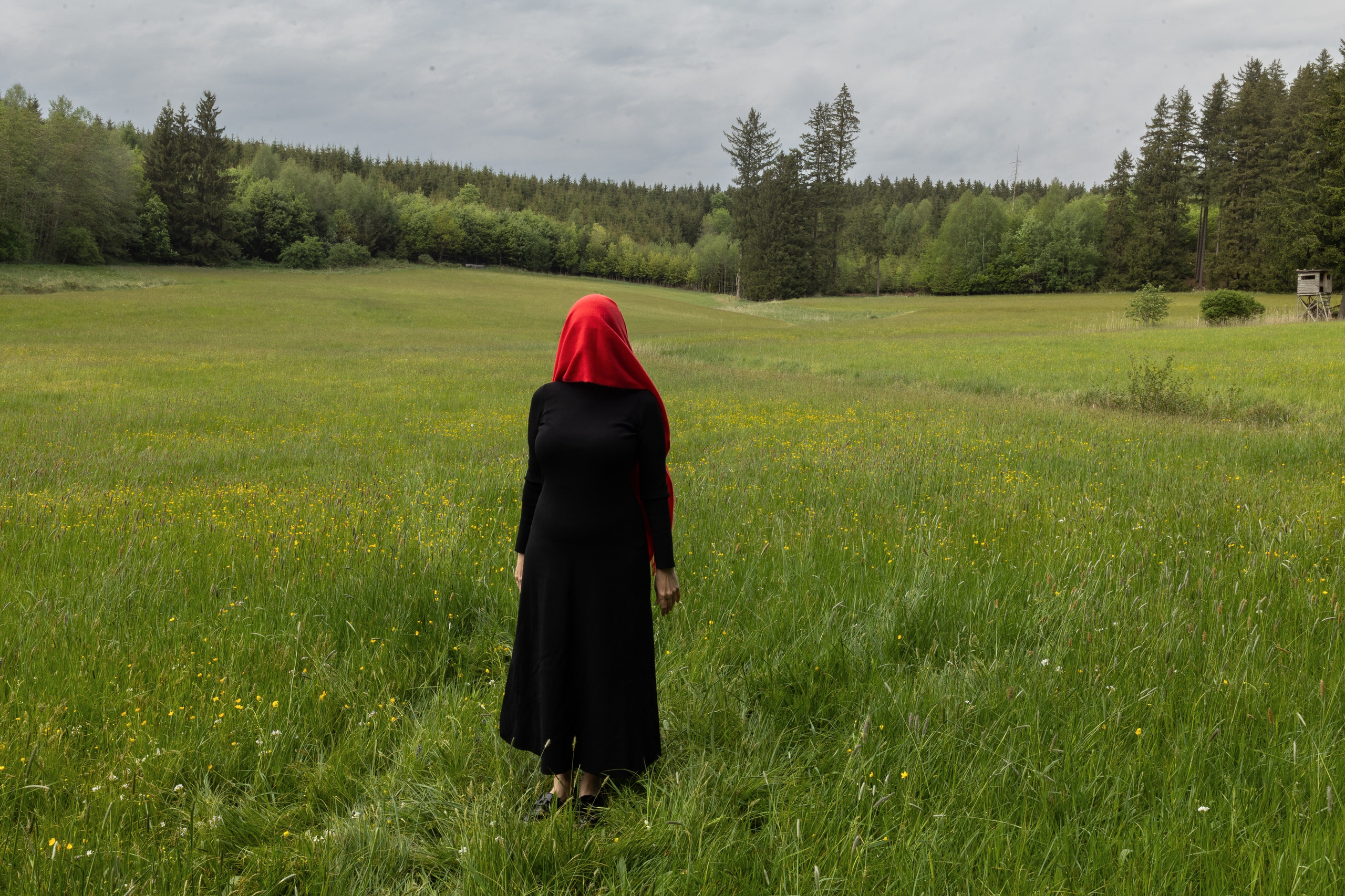 ZWISCHEN HIMMEL UND GRAS. Natalia Olfert Fotografie