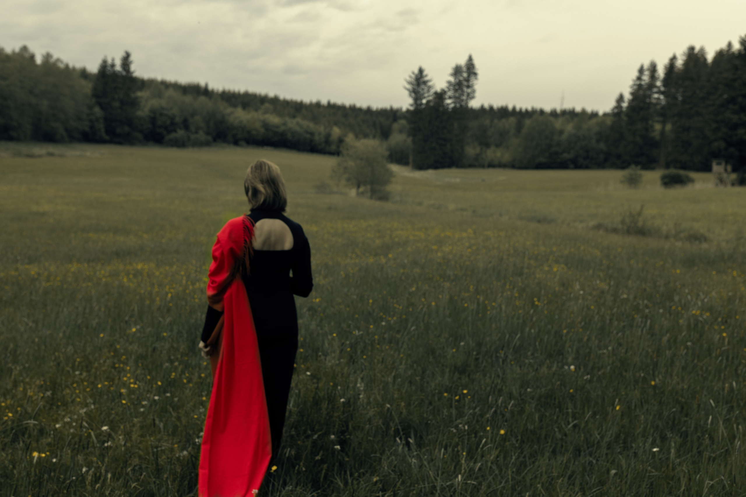 ZWISCHEN HIMMEL UND GRAS. Natalia Olfert Fotografie