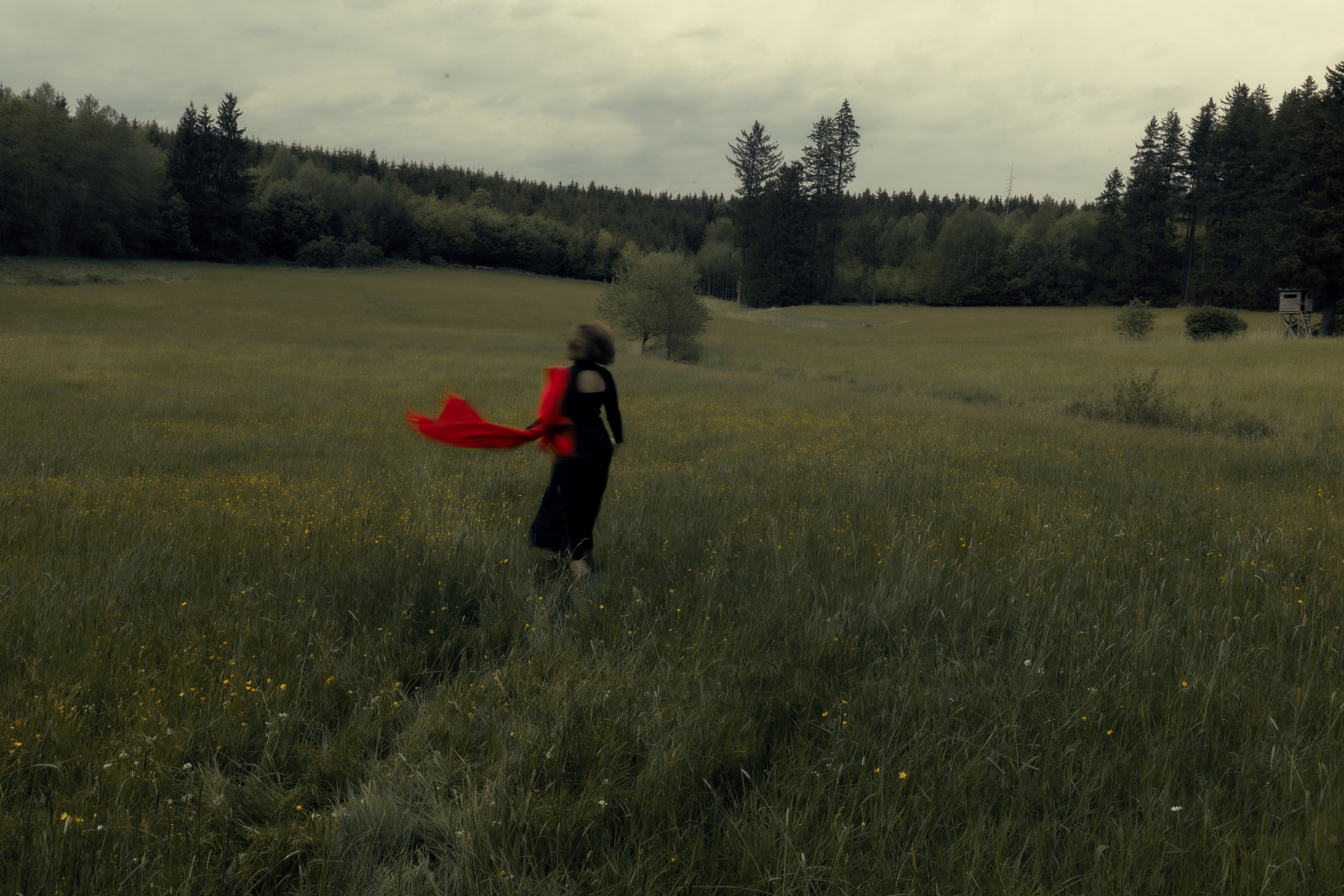 ZWISCHEN HIMMEL UND GRAS. Natalia Olfert Fotografie