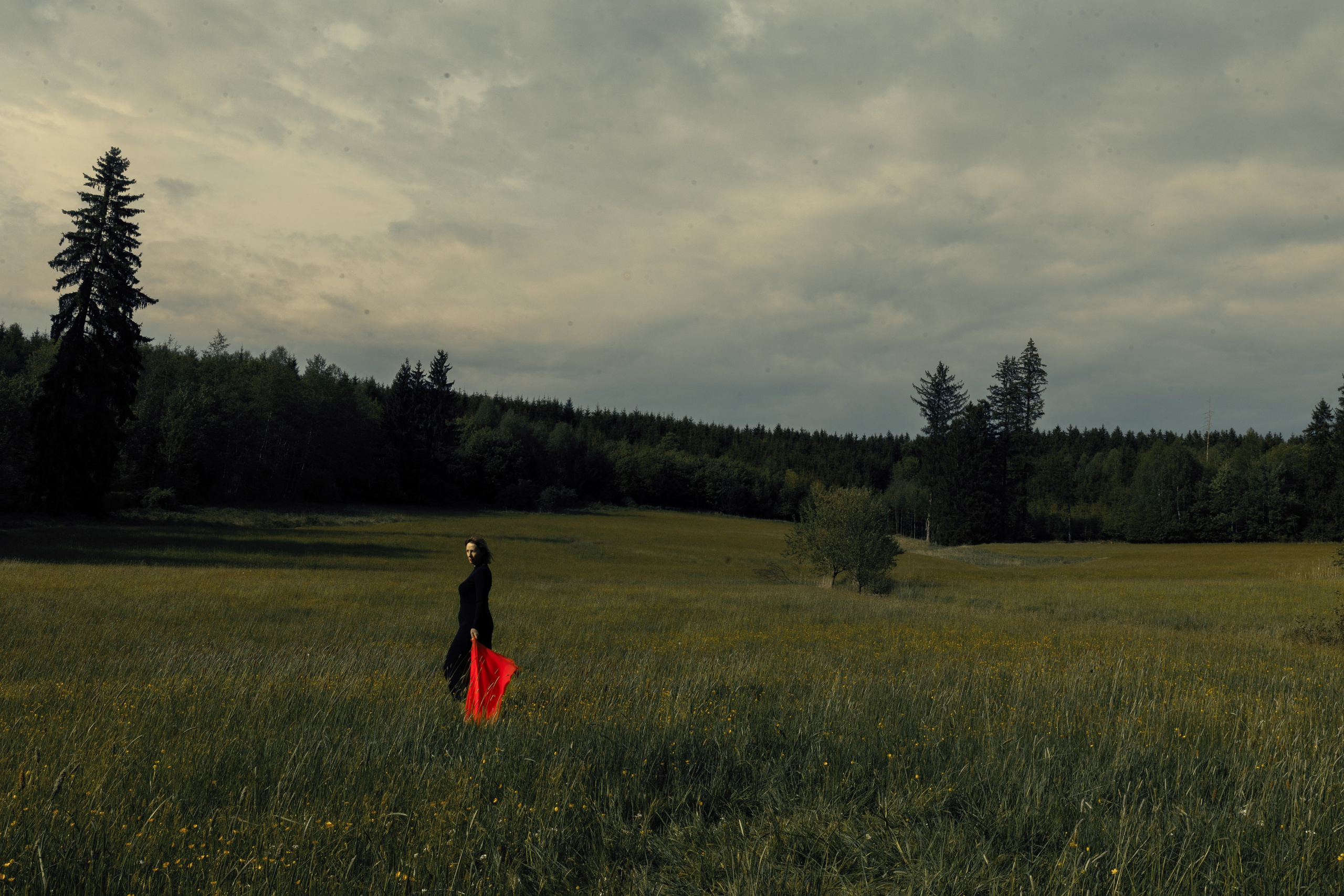 ZWISCHEN HIMMEL UND GRAS. Natalia Olfert Fotografie
