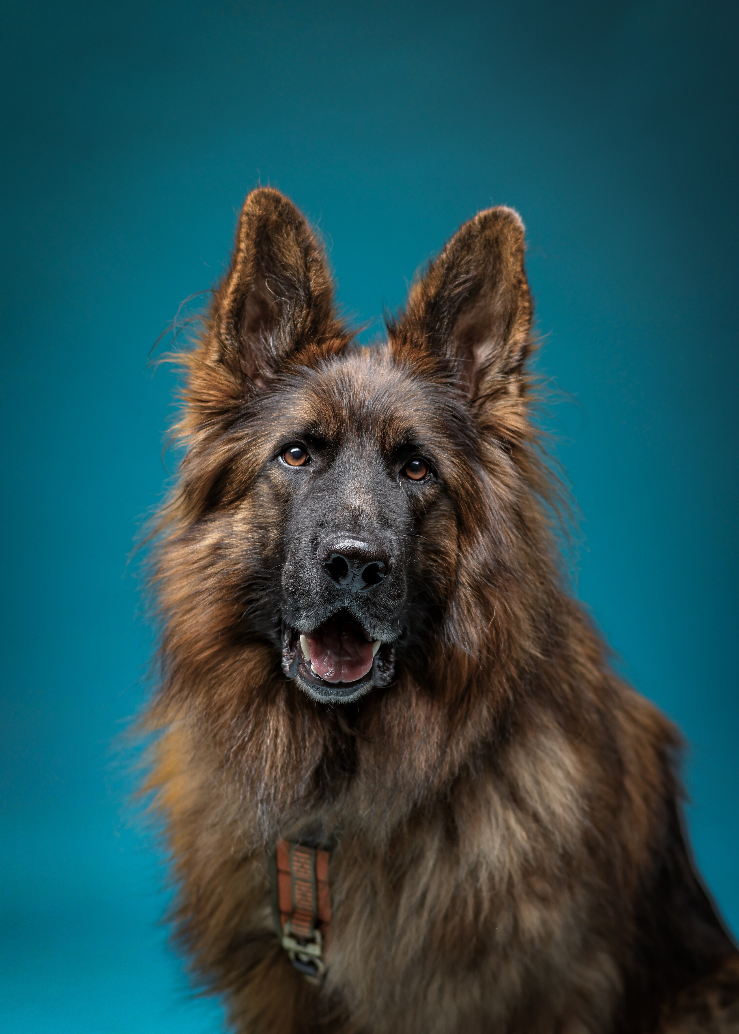 Photographer Marina, city of Nuremberg