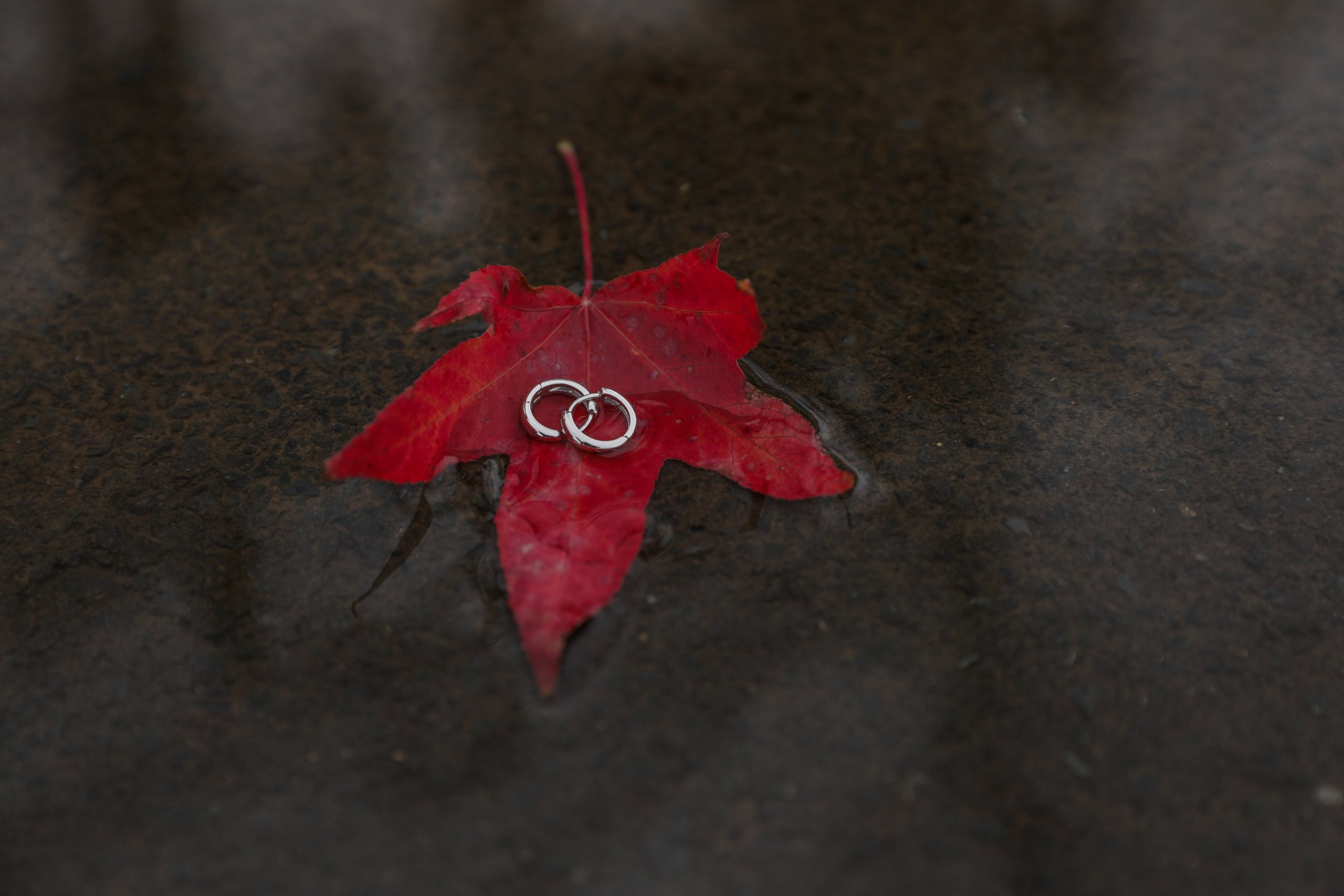 OnnanokoCo — Charming Jewellery. Lifestyle & Documentary Photography in Bristol, Bath & London — def0cused