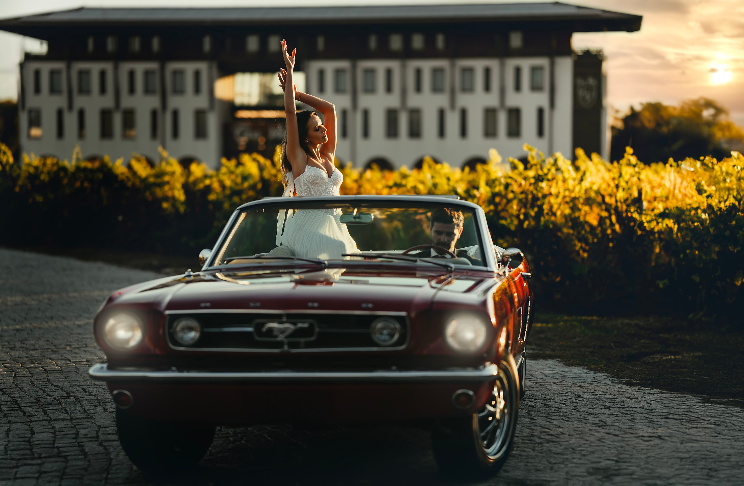 Mihai & Denisa. Romeo Dimache — Wedding photographer in Romania