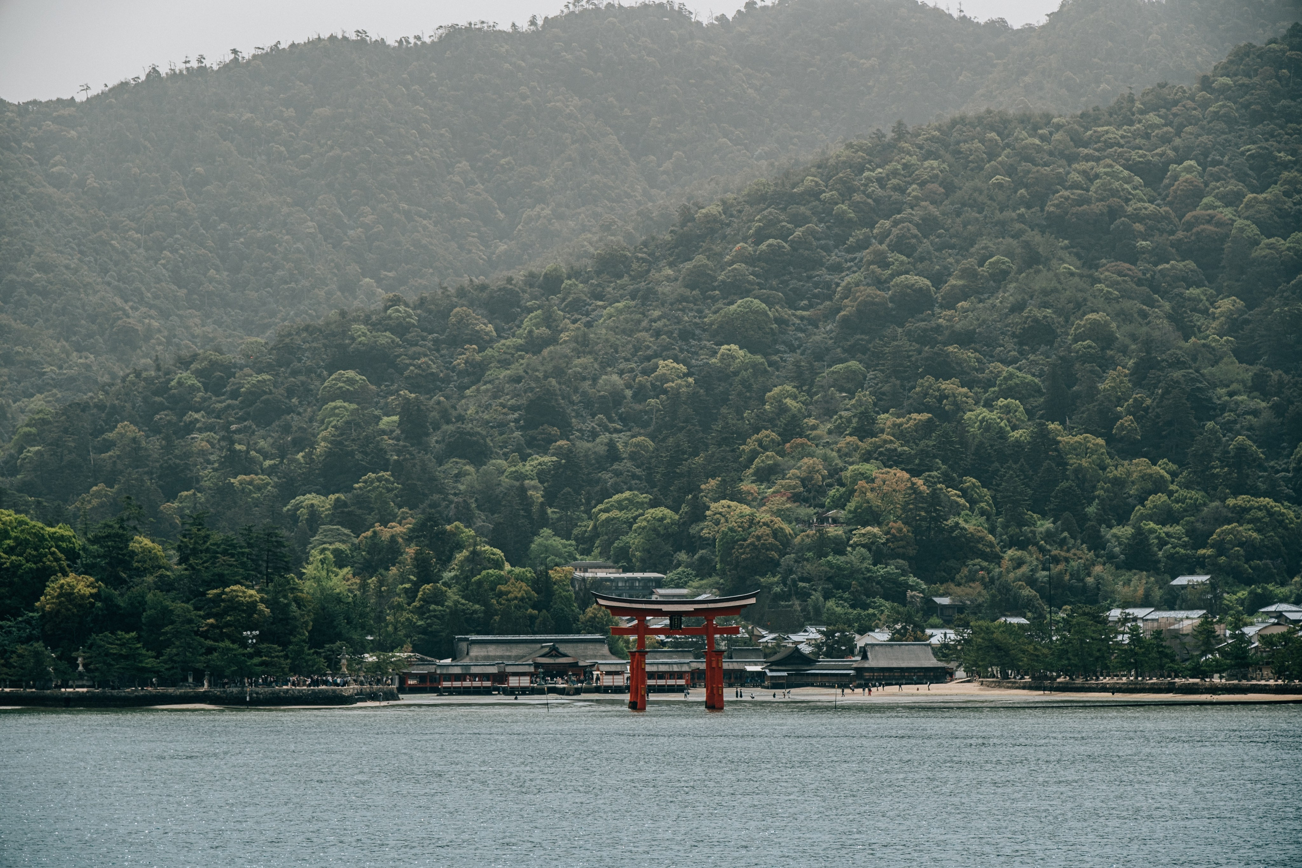 Tim + Karina - PRE - Wedding- Japan - Isola di Miyajima. Trinacria Fotografia