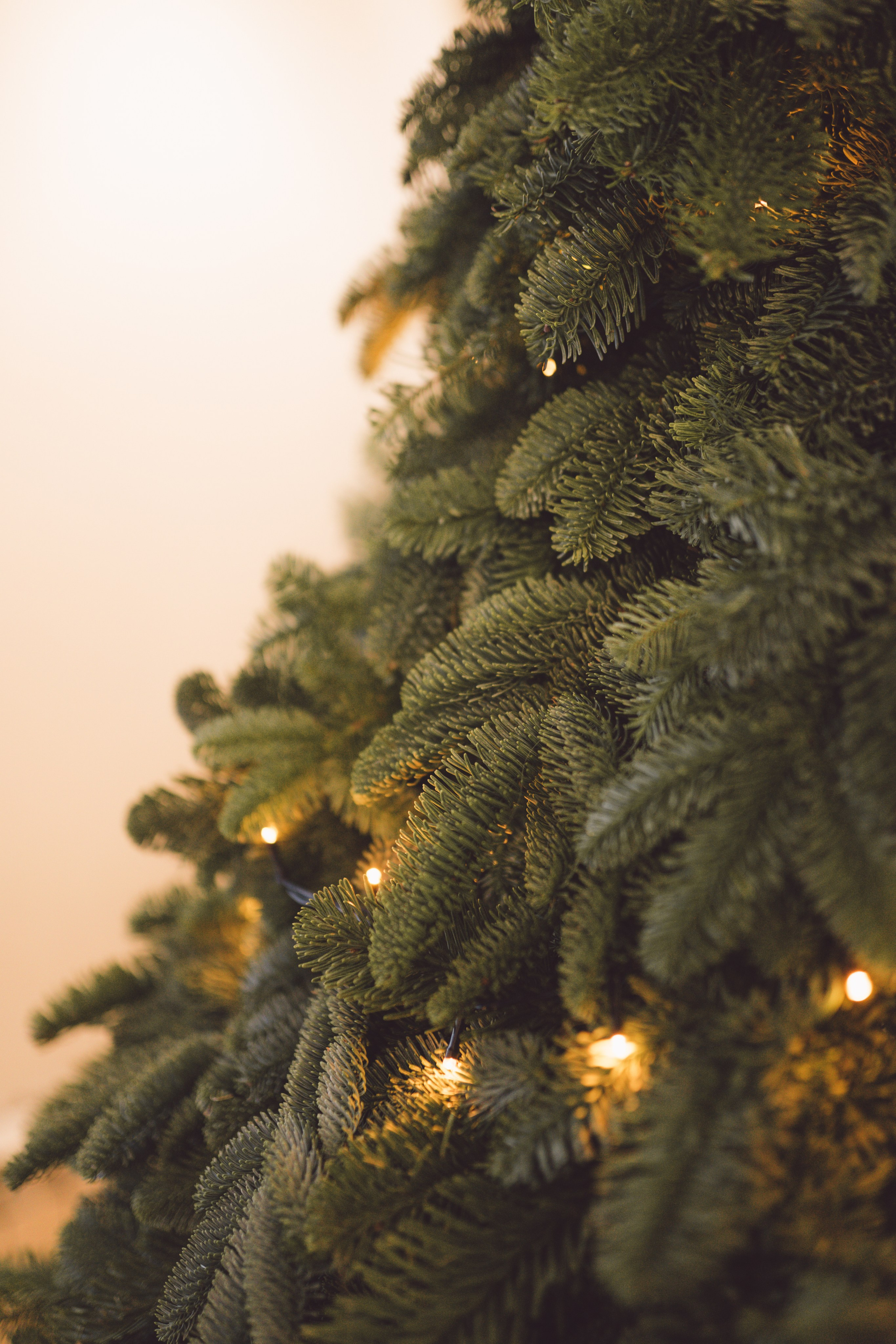 Fotografie de Eveniment Brașov: Povești Vizuale | Mădălina Beda. Madalina Beda- Artist vizual, fotograf, doula la nastere, consultant babywearing Brasov si in toata tara