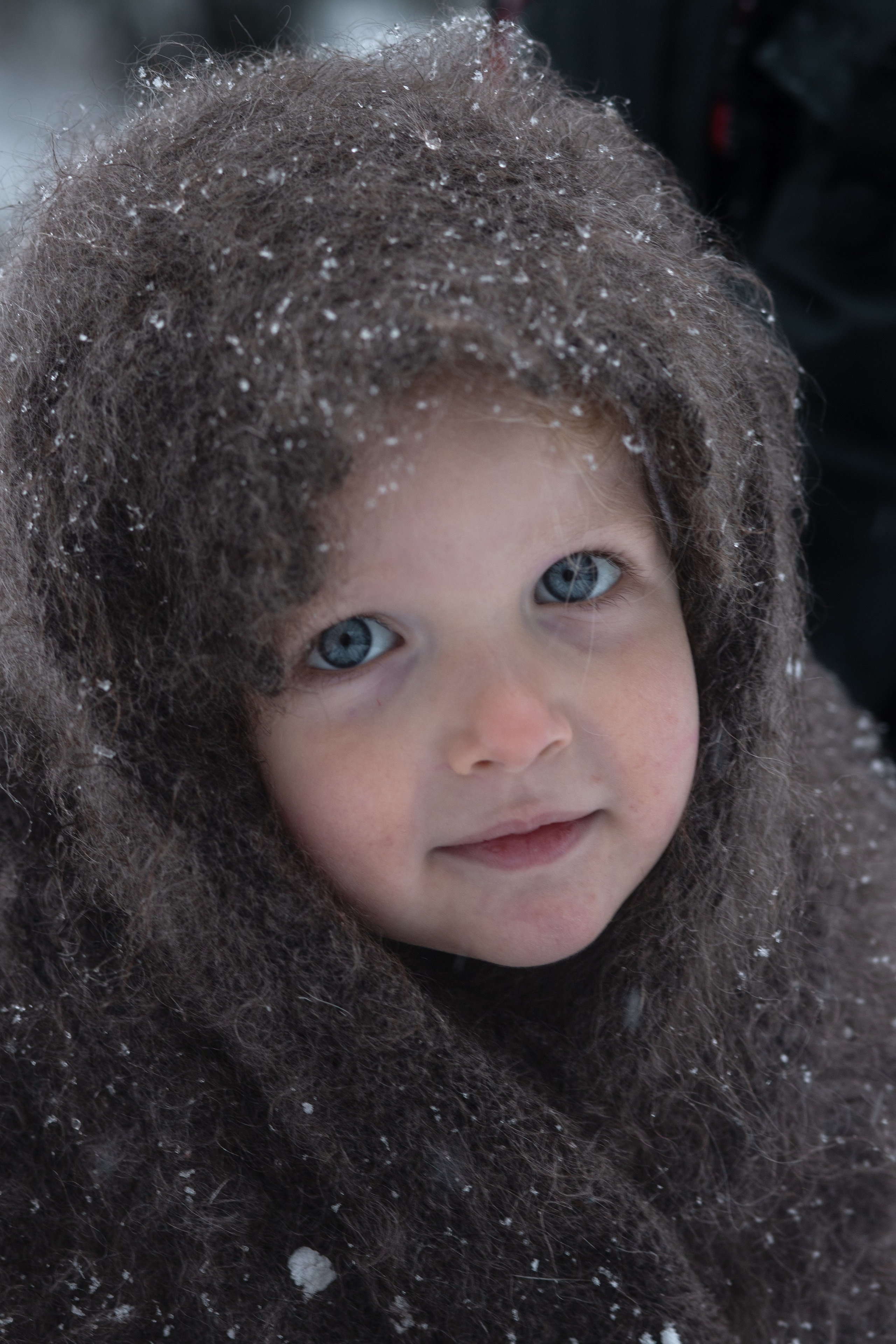 Ein Weihnachtsmärchen. Olena Fritz Fotografie