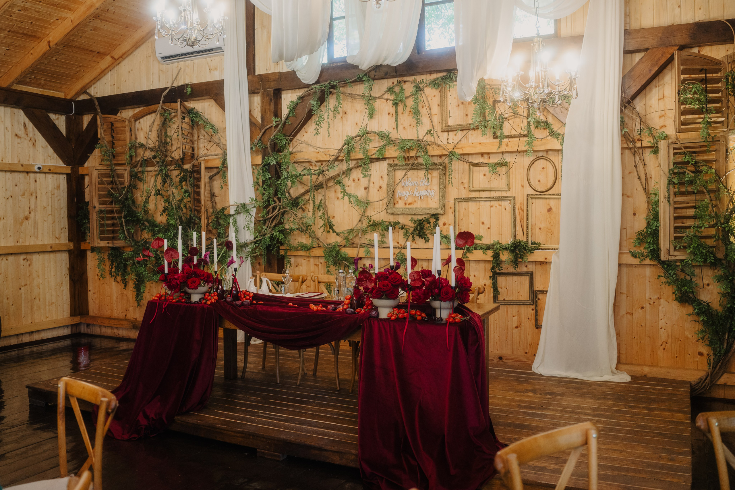 Diana și Paul. Visuals of Theodor — Wedding Photographer