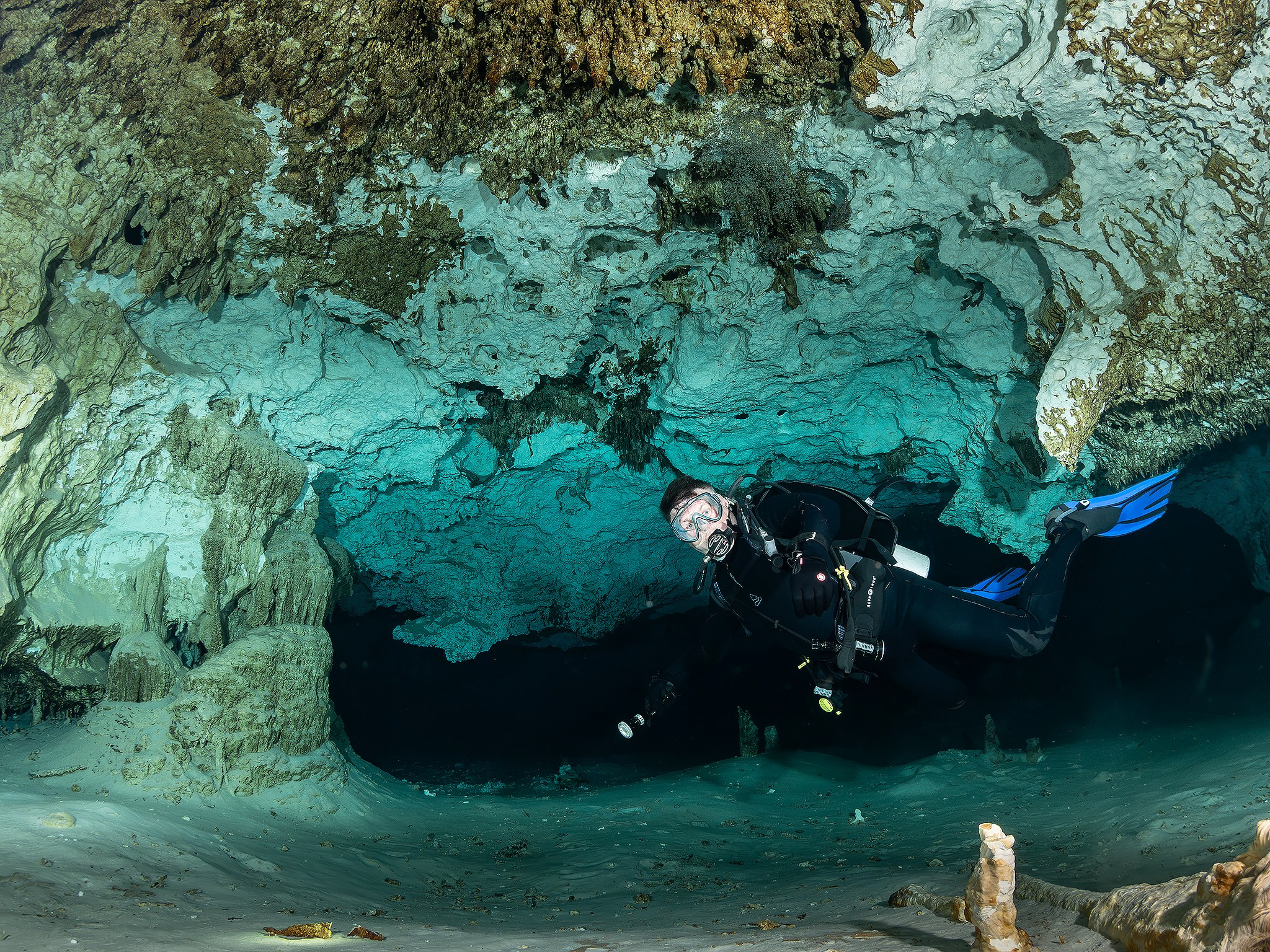 Senote. Your photographer on land and under water— Alexey Zaytsev