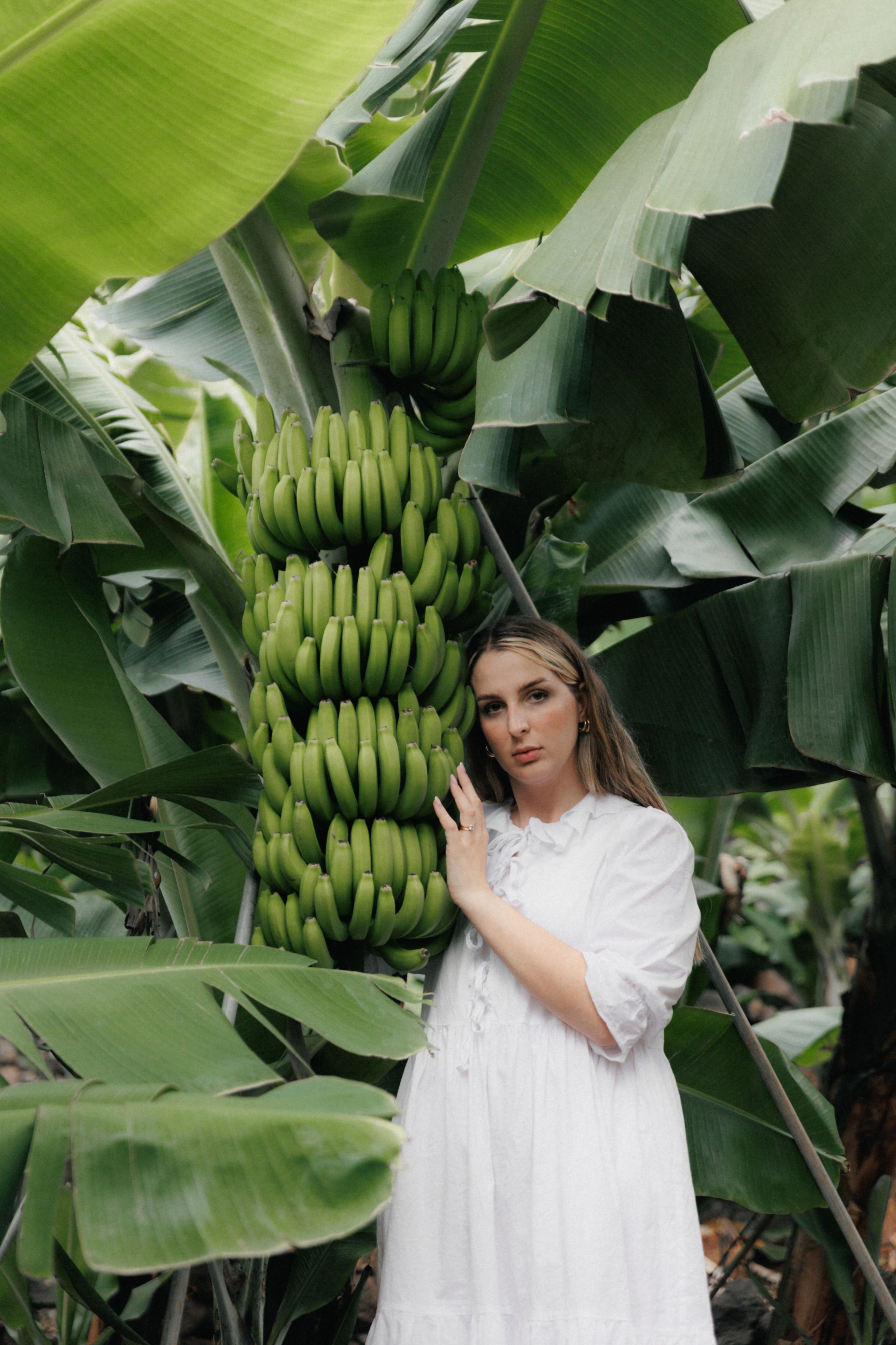 Lost in Madeira. Patricia Morenci — Mountain Adventures for the Wild at Heart