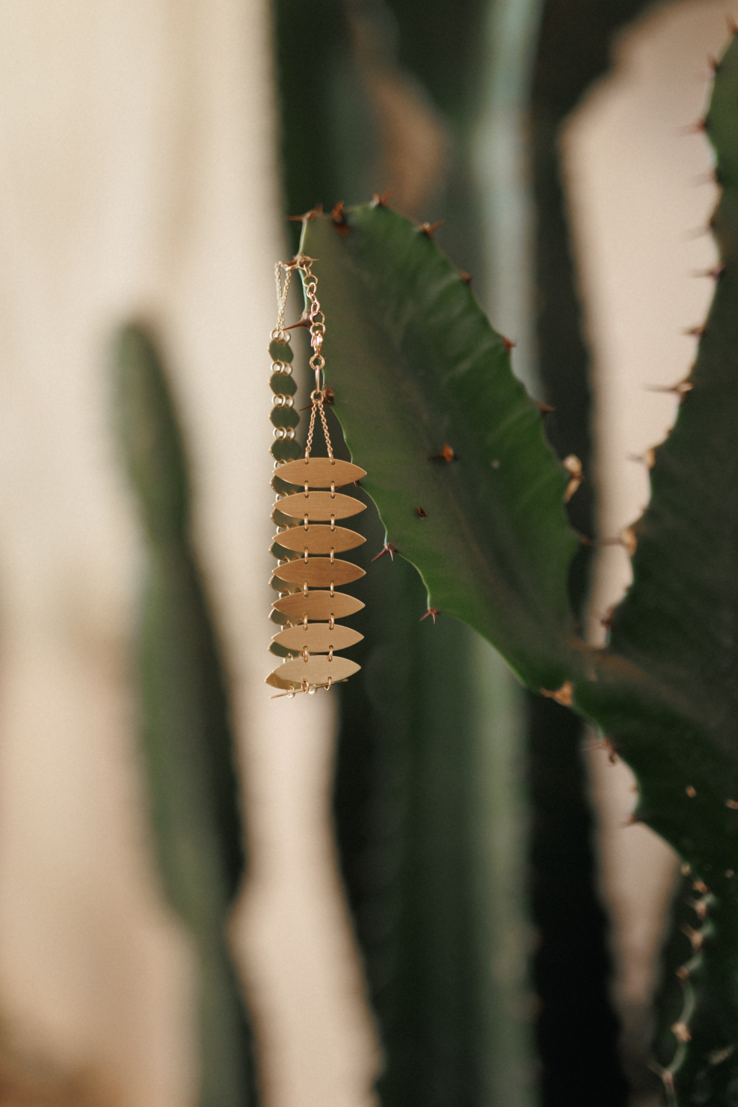 Morrocan dream. Patricia Morenci — Mountain Adventures for the Wild at Heart