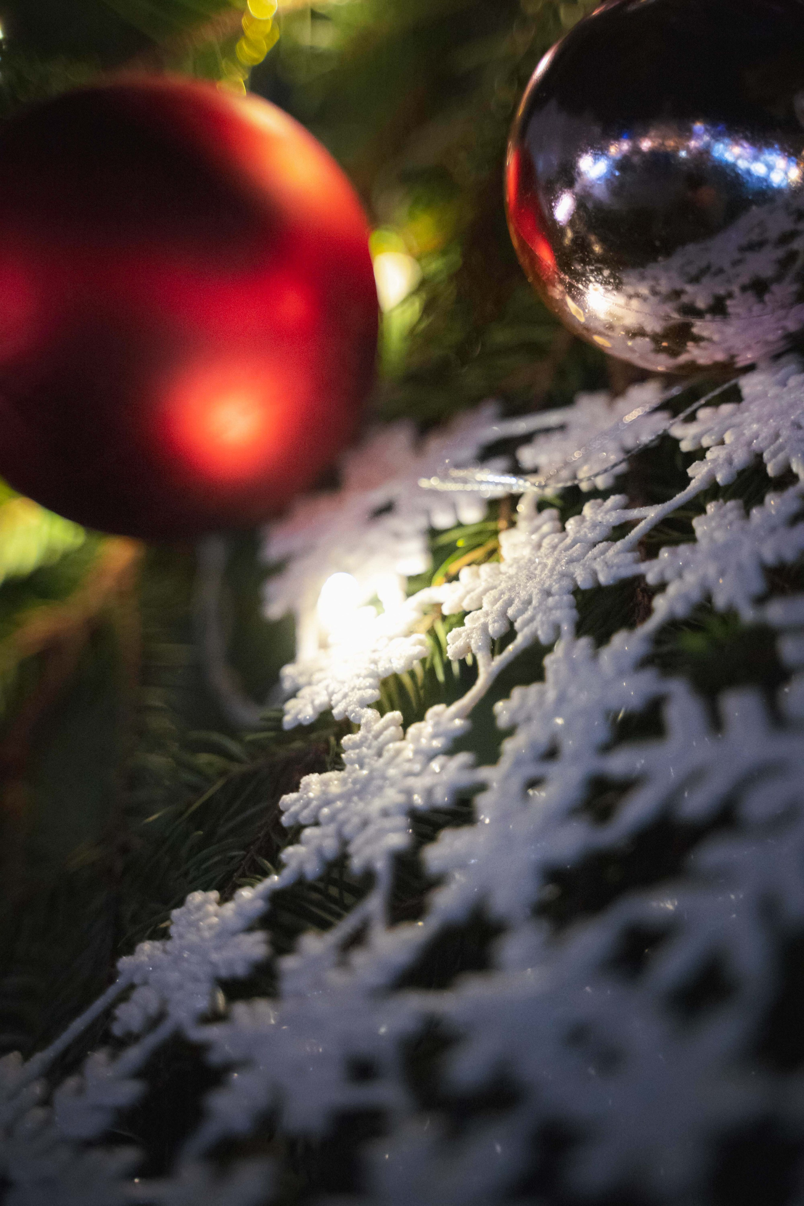 Novosadski Zimzolend. Жуков Студио