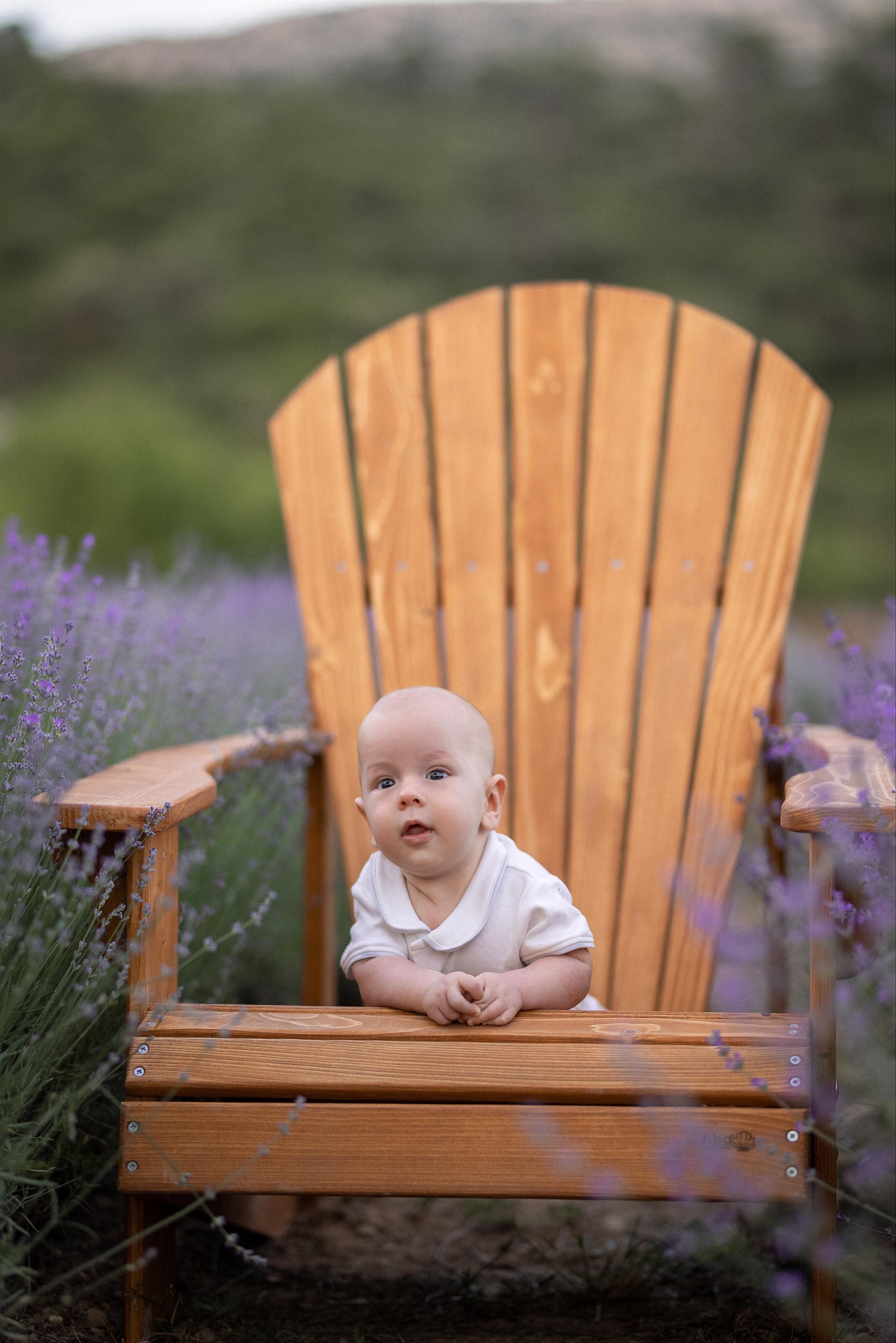 Фотосессия на лавандовых полях в Турции (Анталья). Фотограф в Турции | Алания, Сиде, Белек, Анталия, Кемер)