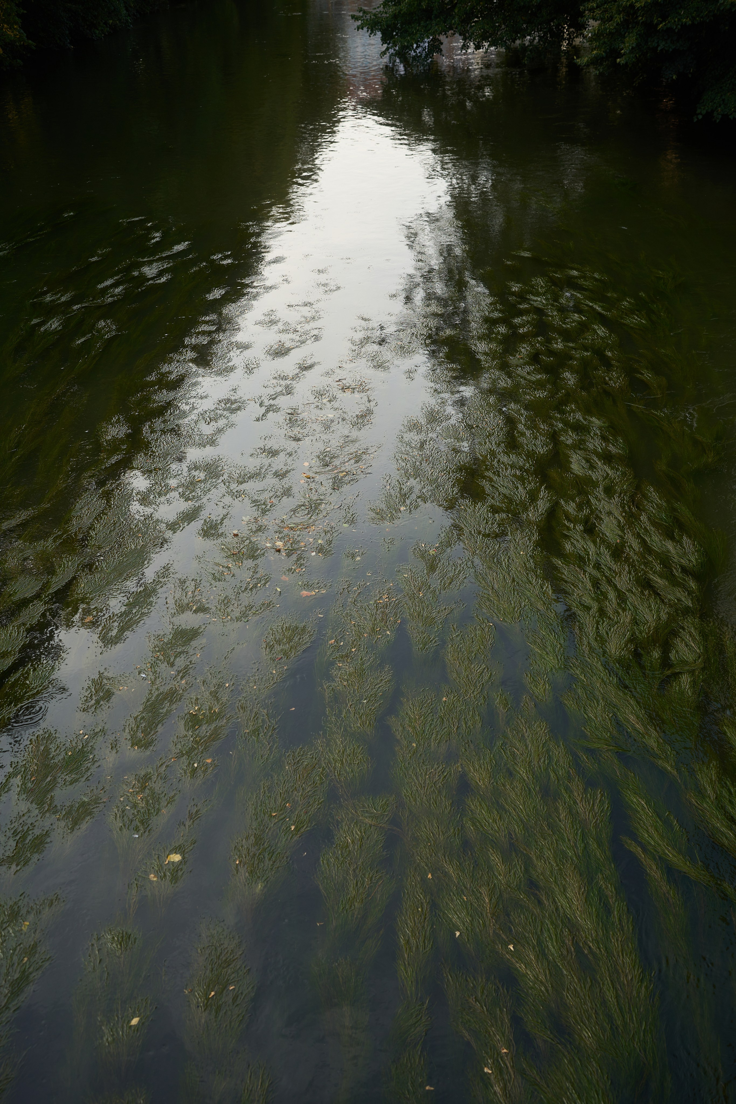 Travel. Visual artist | Fotograf | Stuttgart