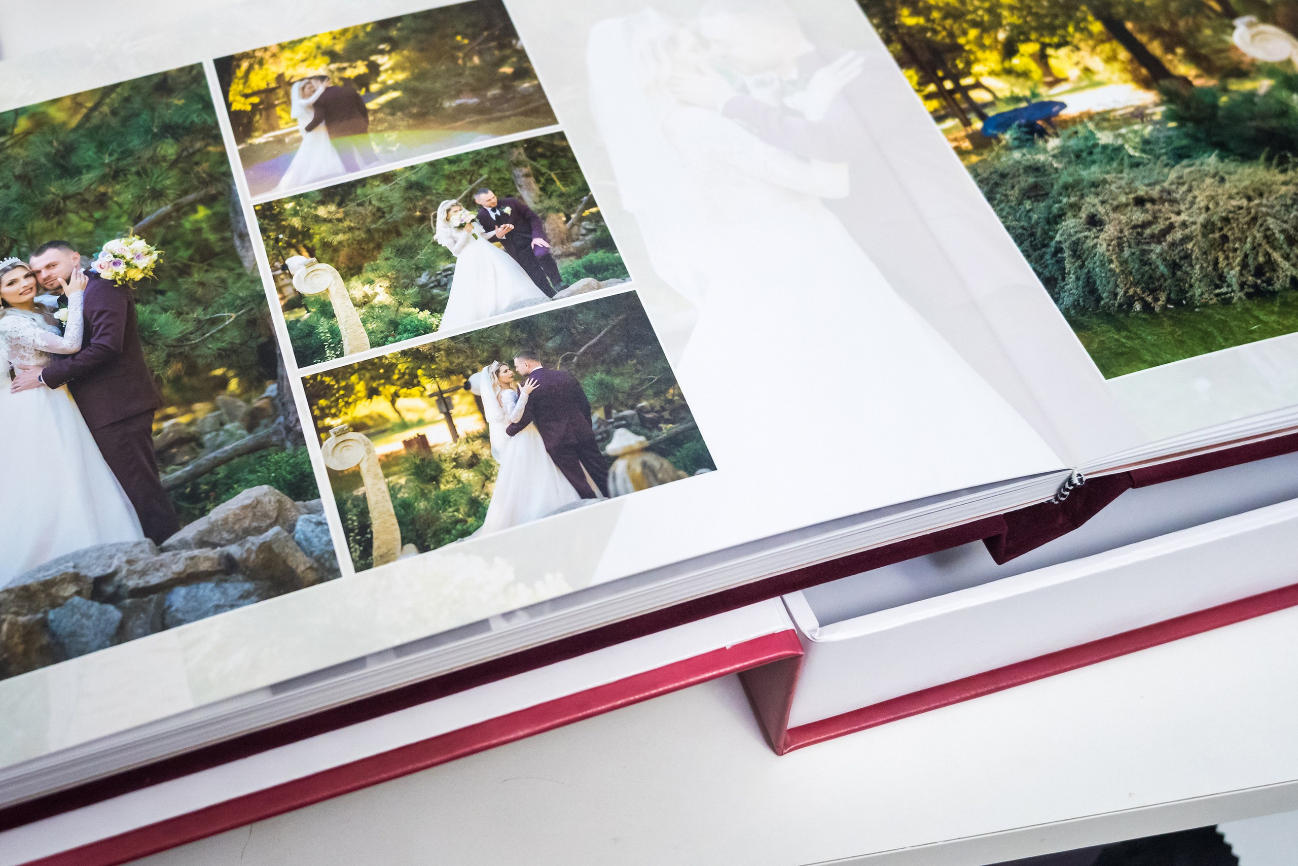 Albume Bogdan Palenciuc