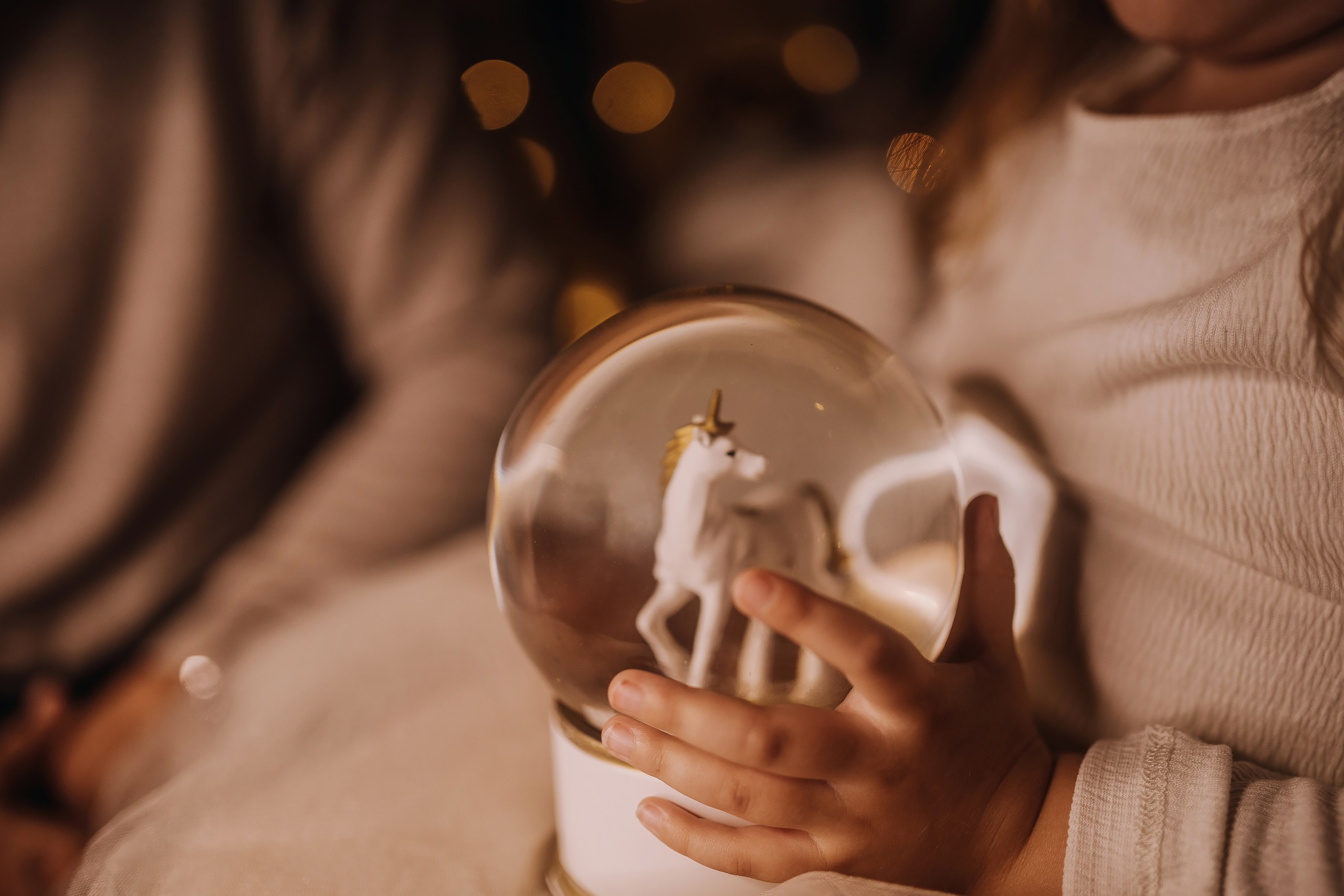 25.11.2023 Christmas Photoshoot. Wedding family event photographer in Chicago Nick Yushevich