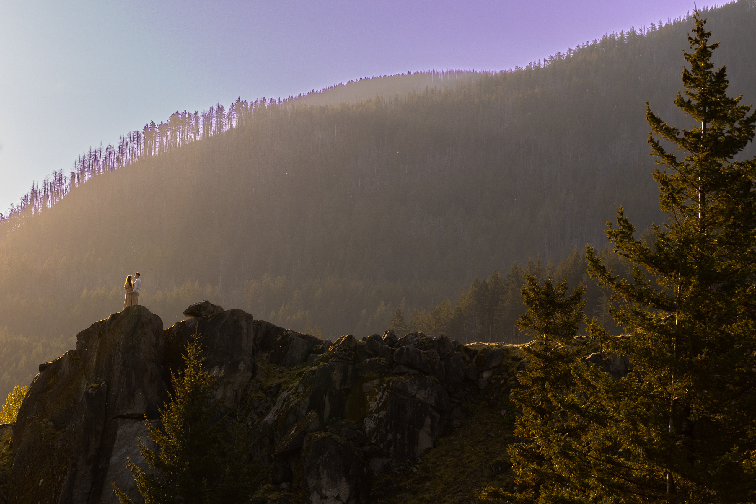 Family and Wedding photographer