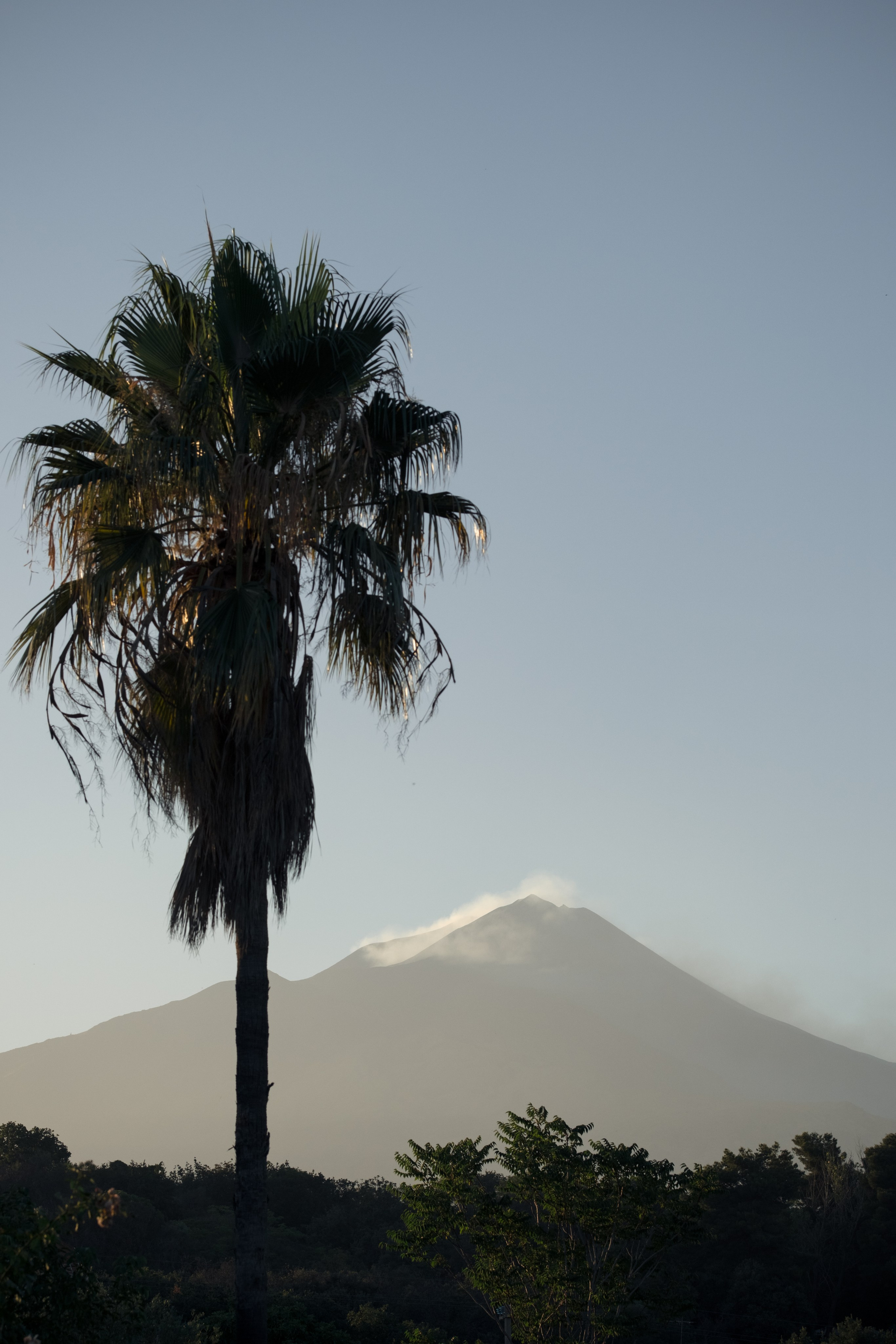 Wedding photography — EMU Photos