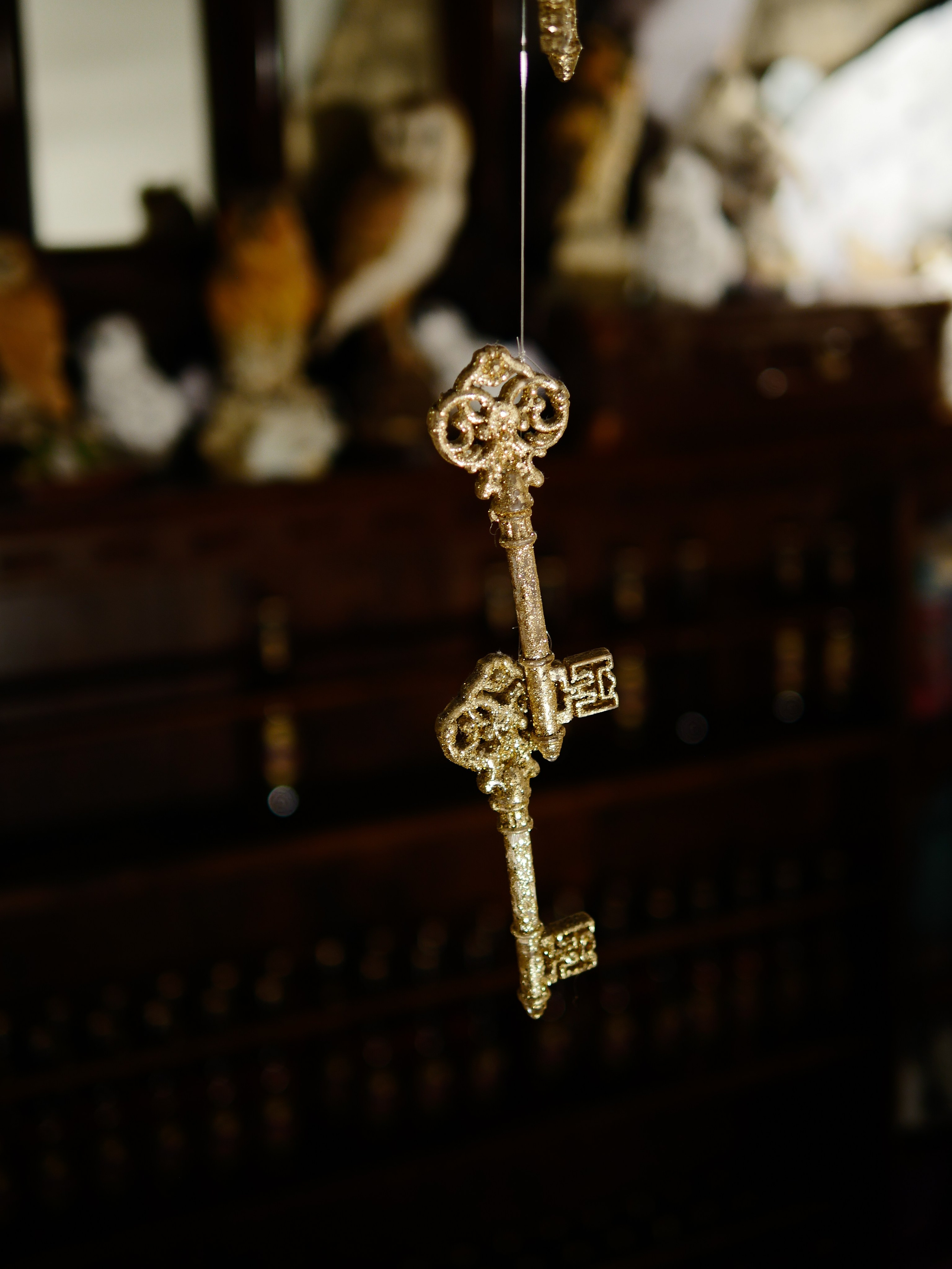 Expect Miracles Photography