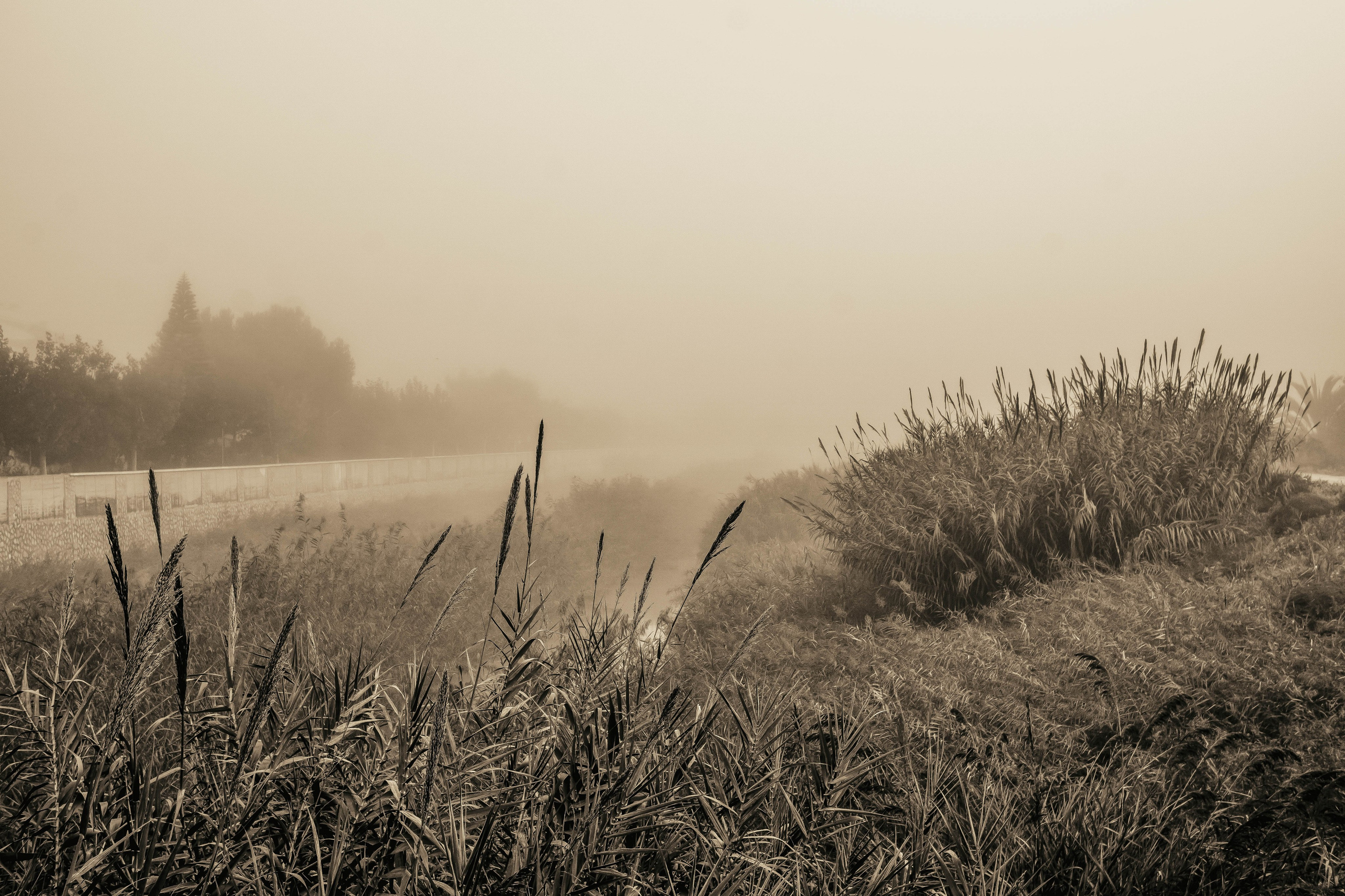 Rojales. Alba del Norte Studio