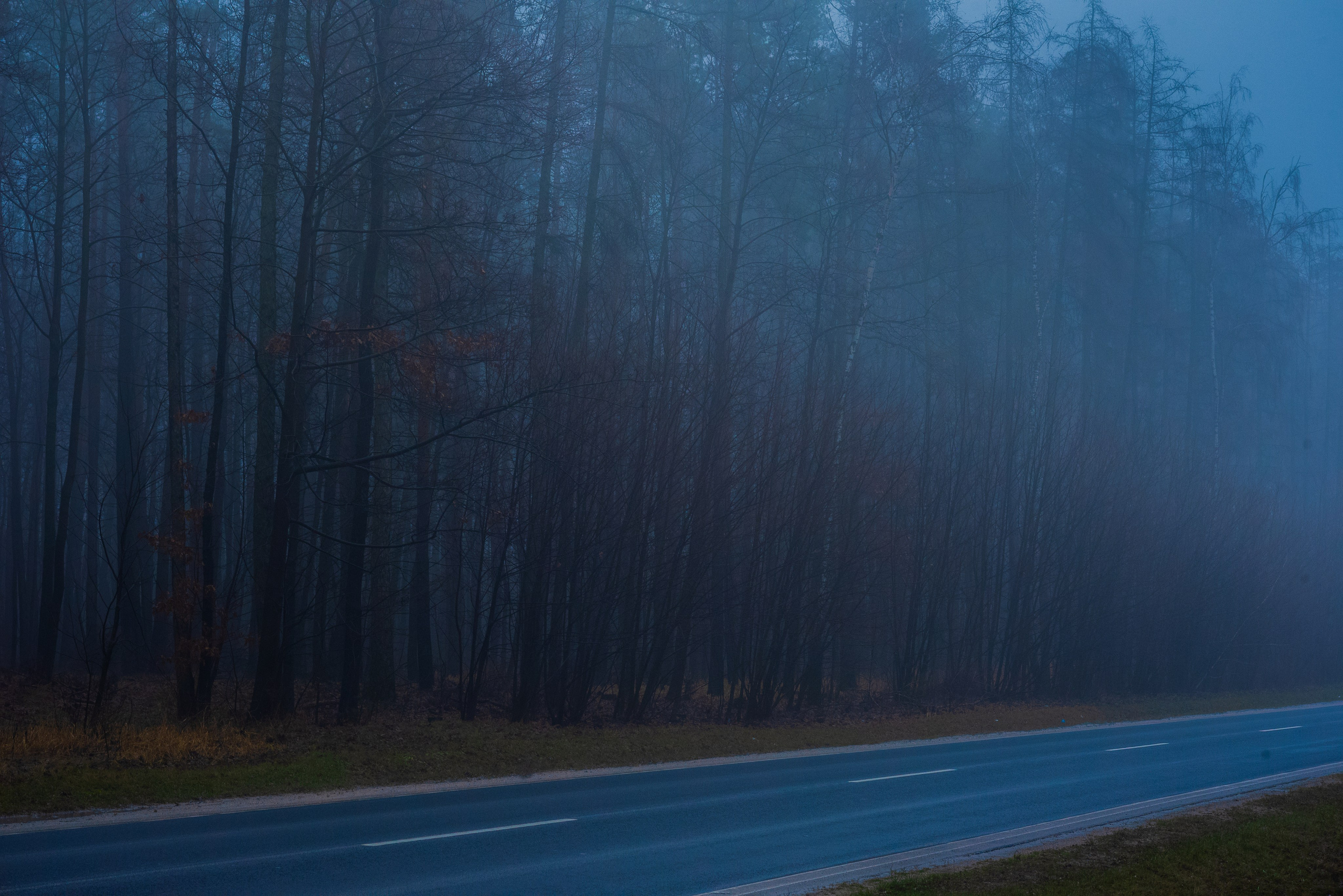 Туман в полях. Kindshephoto Женский и семейный фотограф Москва