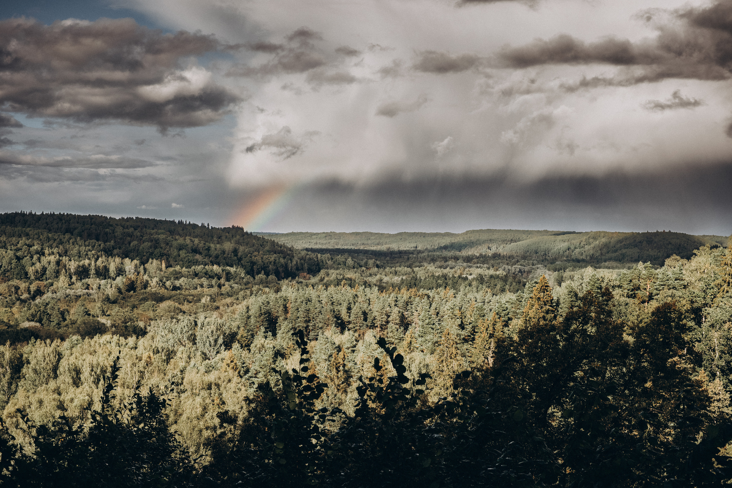 Kāzu foto stāsts Siguldā | Gita un Kaspars. Kāzu × Ģimenes notikumu fotografs Edgars Kalniņš