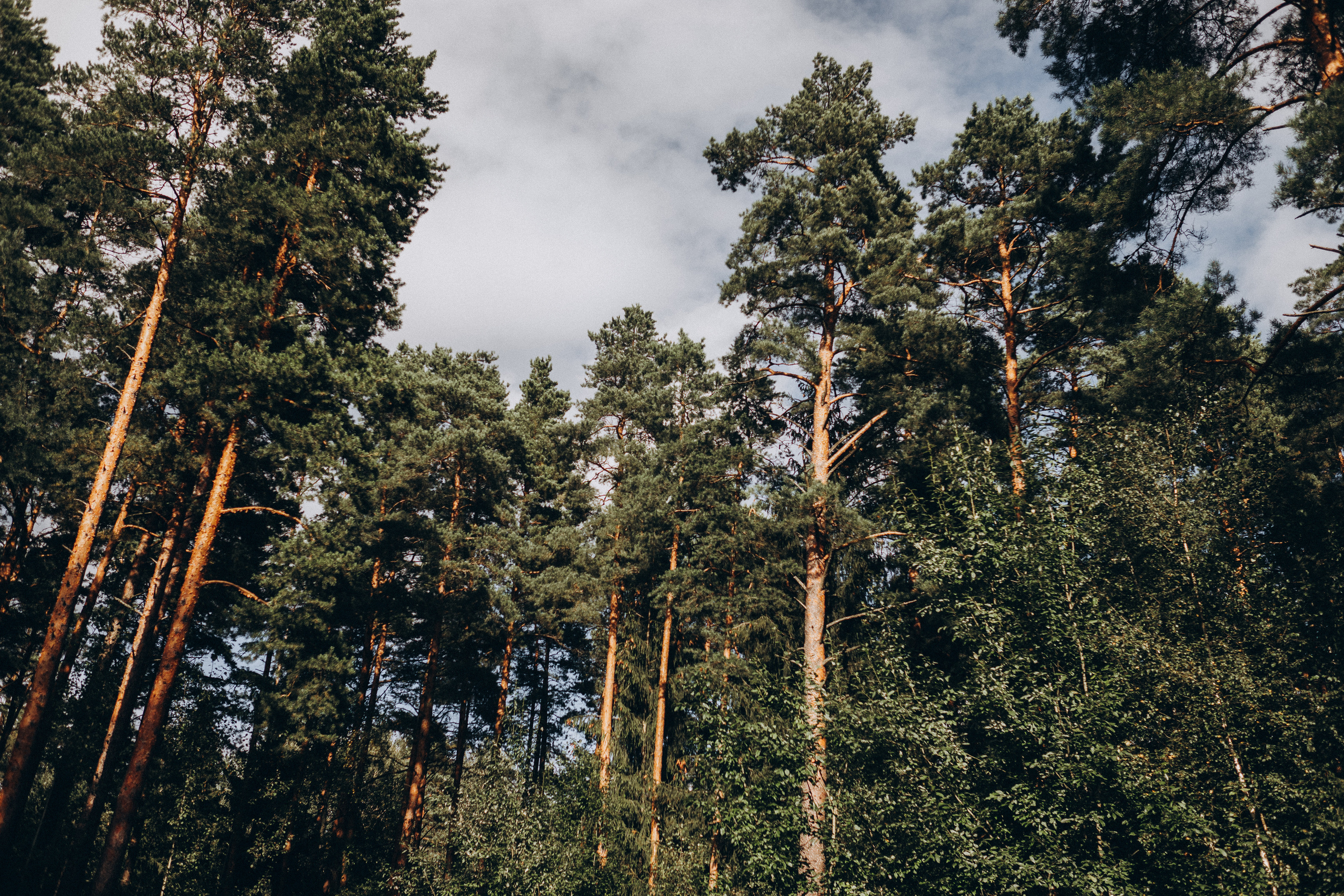 Kāzu foto stāsts Siguldā | Gita un Kaspars. Kāzu × Ģimenes notikumu fotografs Edgars Kalniņš