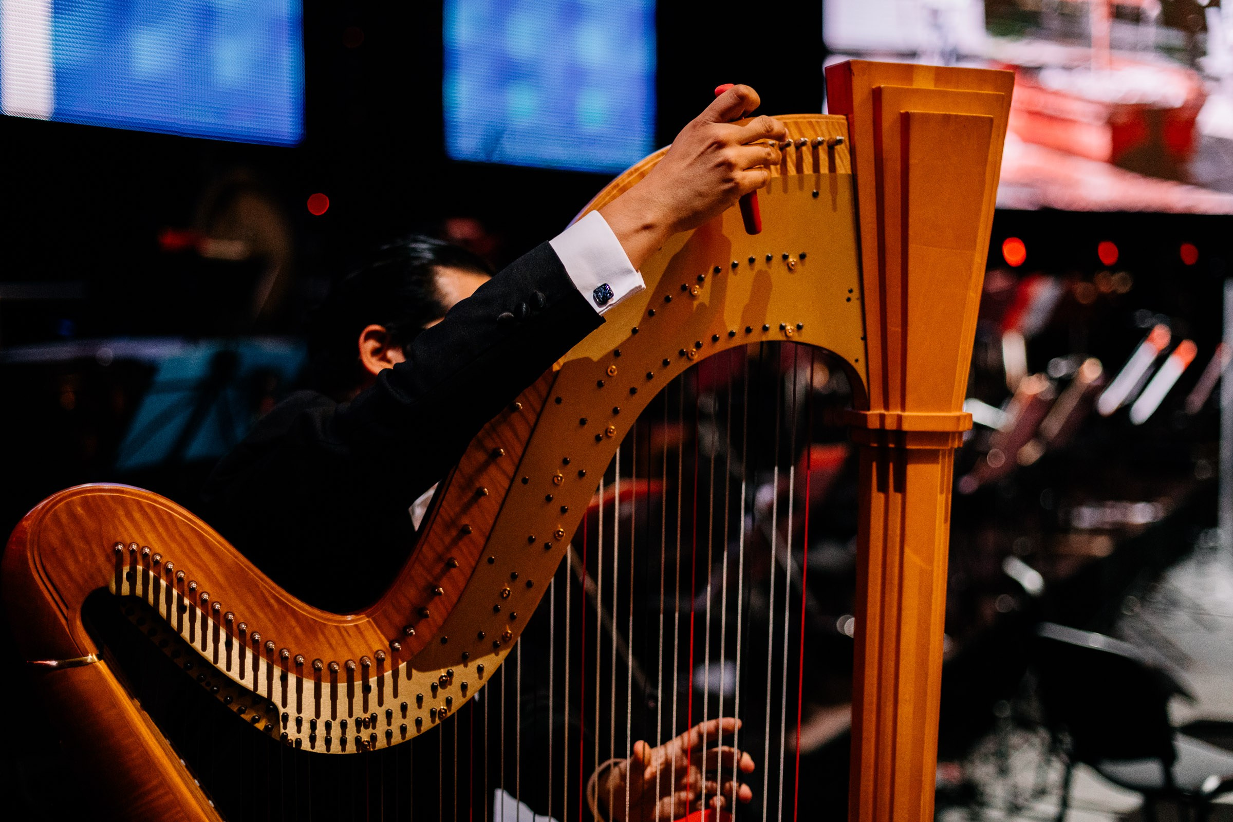 Opera Leśna Koncert. Fotograf Ślubny Warszawa - Sesje Biznesowe Rodzinne Eventy