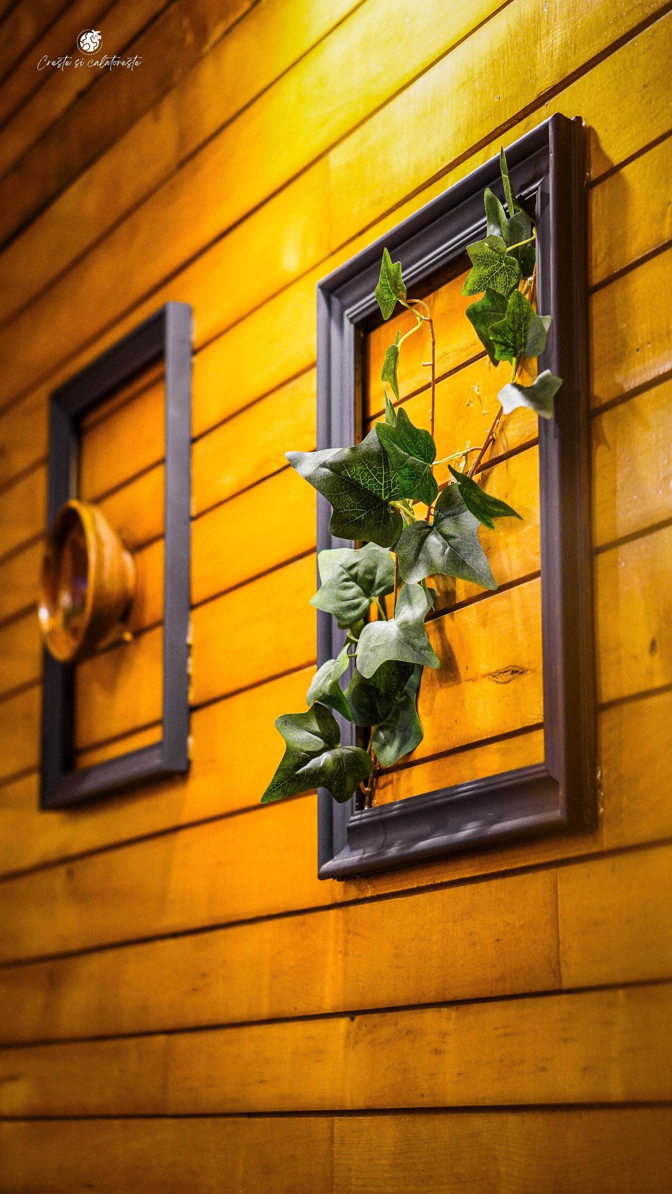 Bacolux Diana. Creste si calatoreste