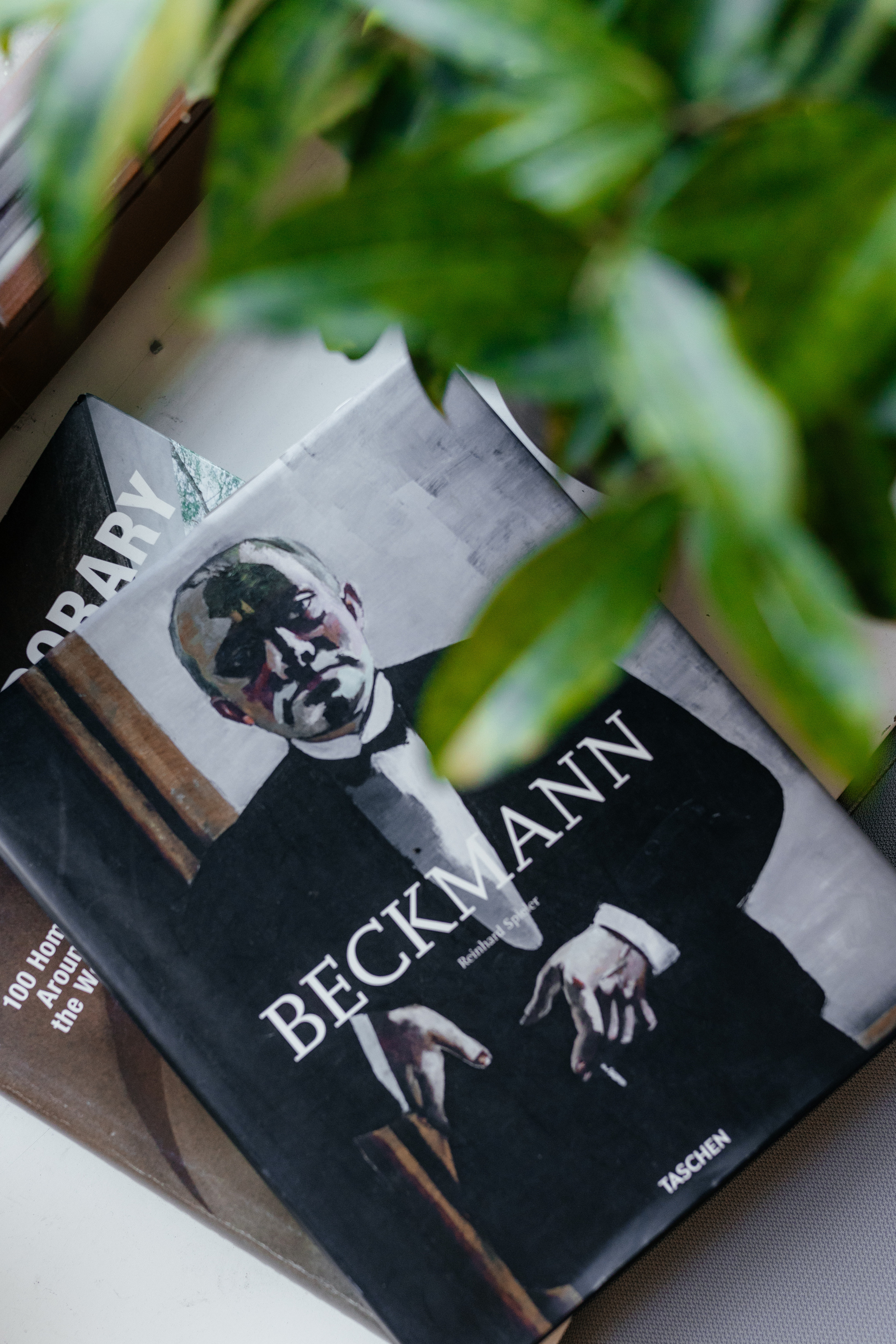 Viktoria. Свадебный и семейный фотограф портретист в Украине Стоганенко Валерия