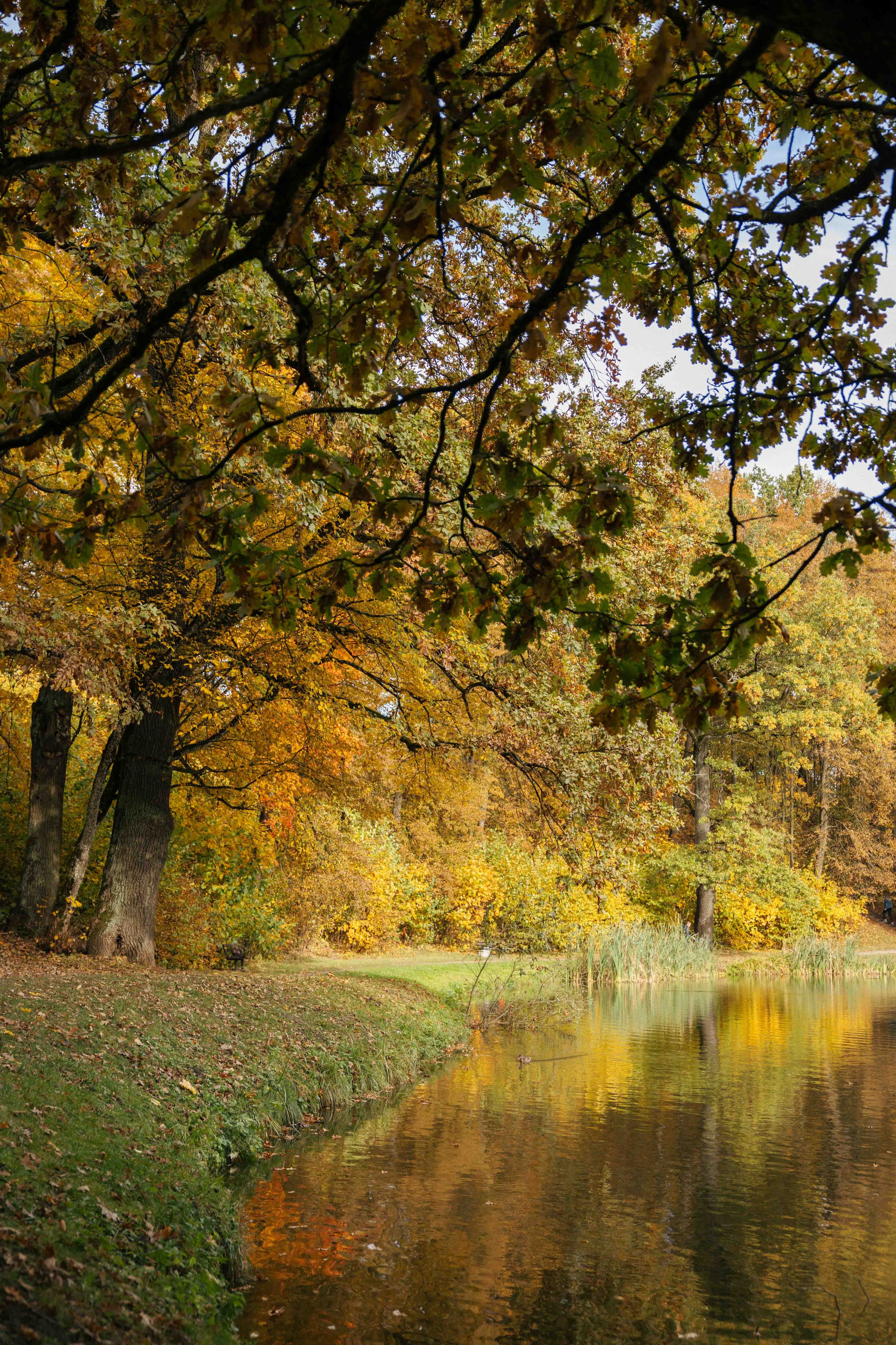 Best Autumn Photoshoot Locations in Vilnius: Top Spots to Capture the Fall Colors. Framed by Evelina | Destination Wedding Photographer from Lithuania | Europe