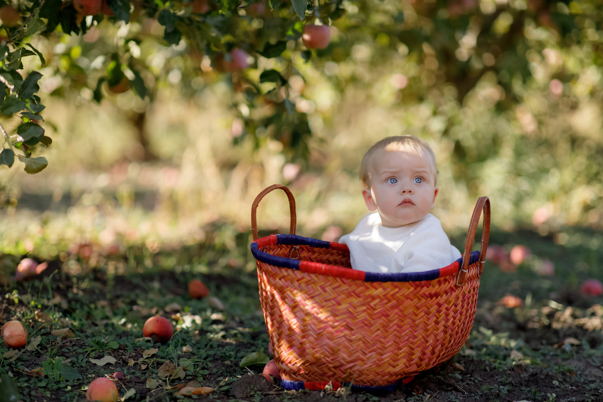 Family photo Mihaela Ungureanu. N.D.photograph - fotograf de familie și portrete în Republica Moldova