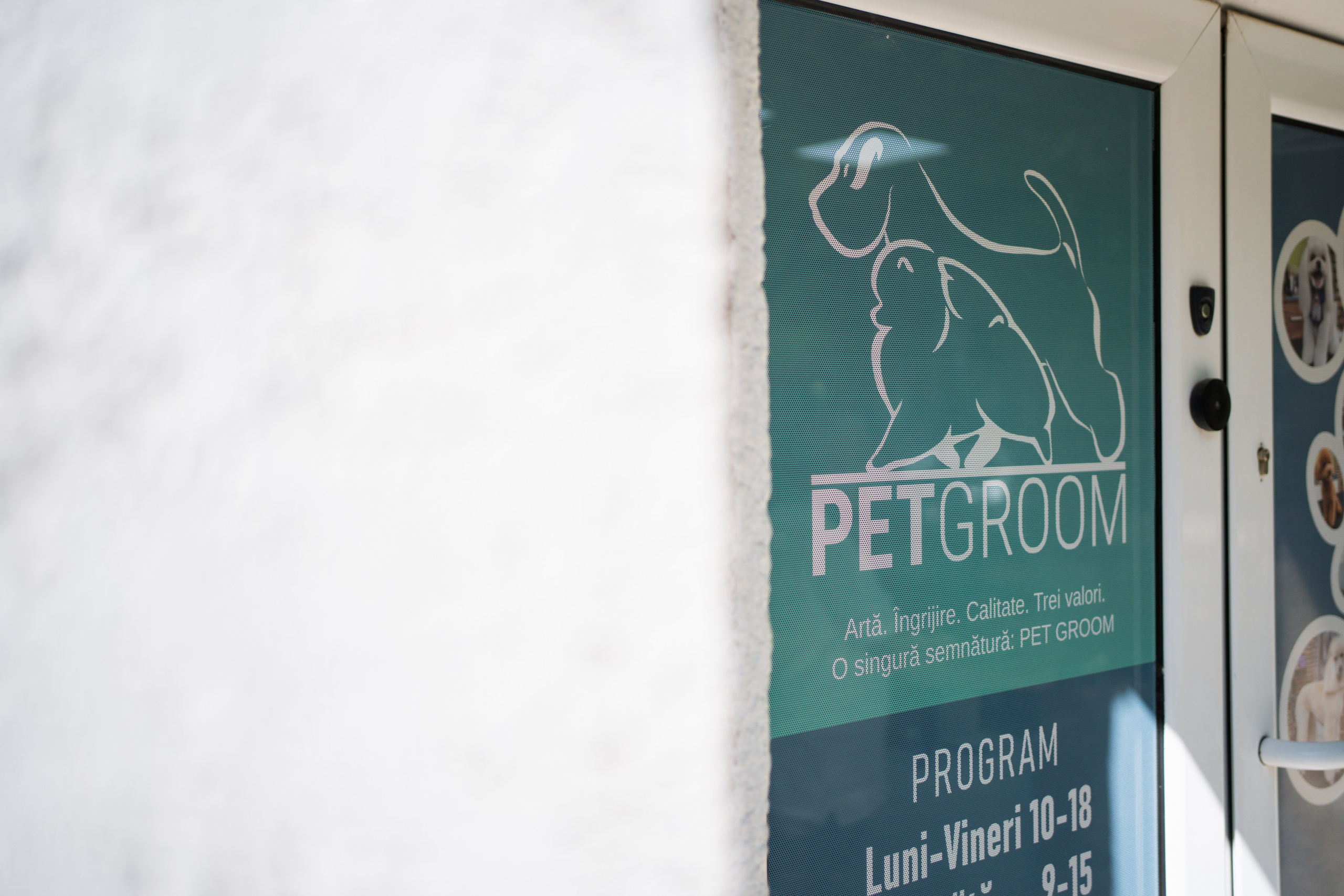 PetGroom Timisoara. Cozac Cristian Photographer