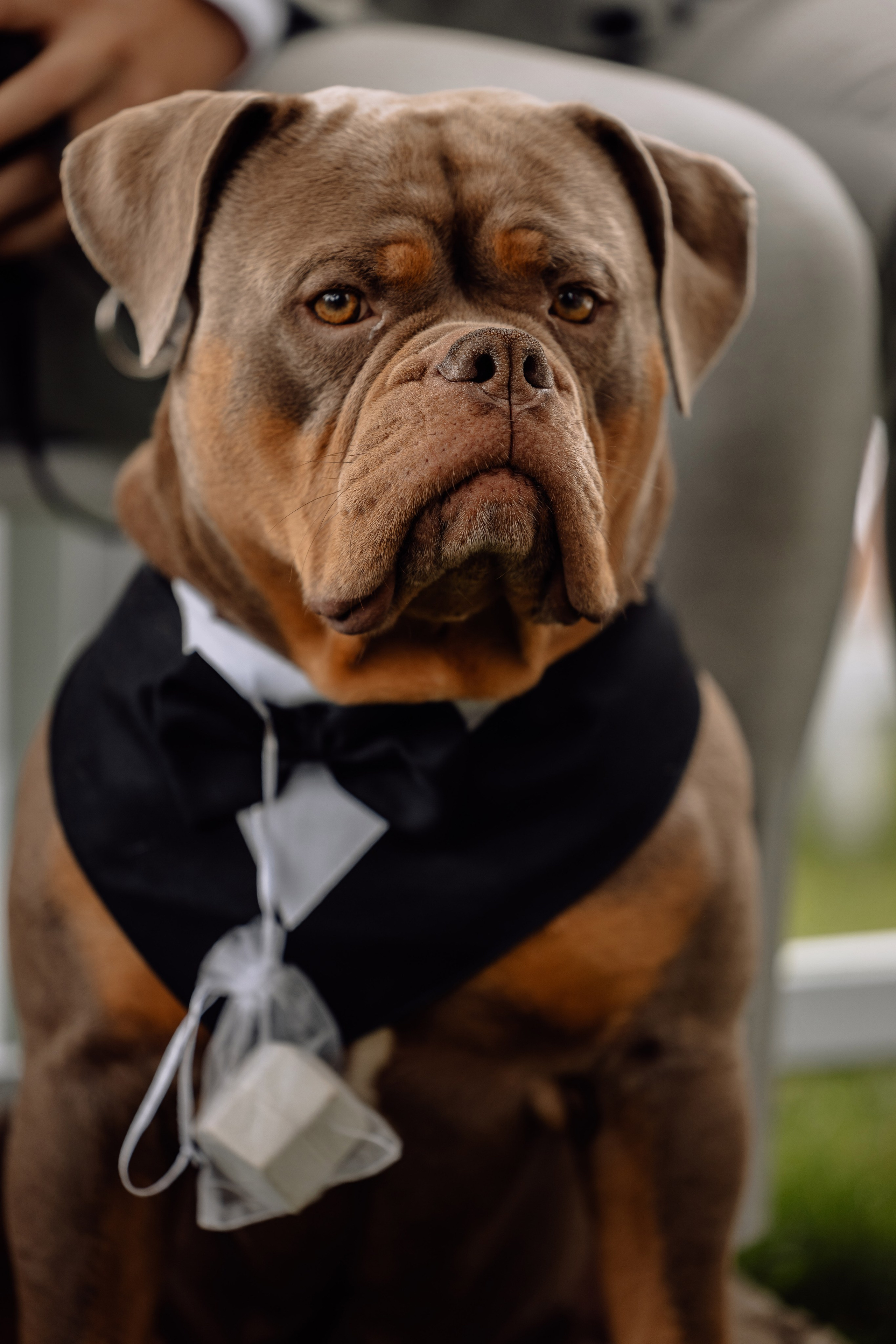 Hochzeit in der Birkenheide (Geisenfeld). Hochzeitsfotograf München Taufe Familienfotograf Tanja Mauke