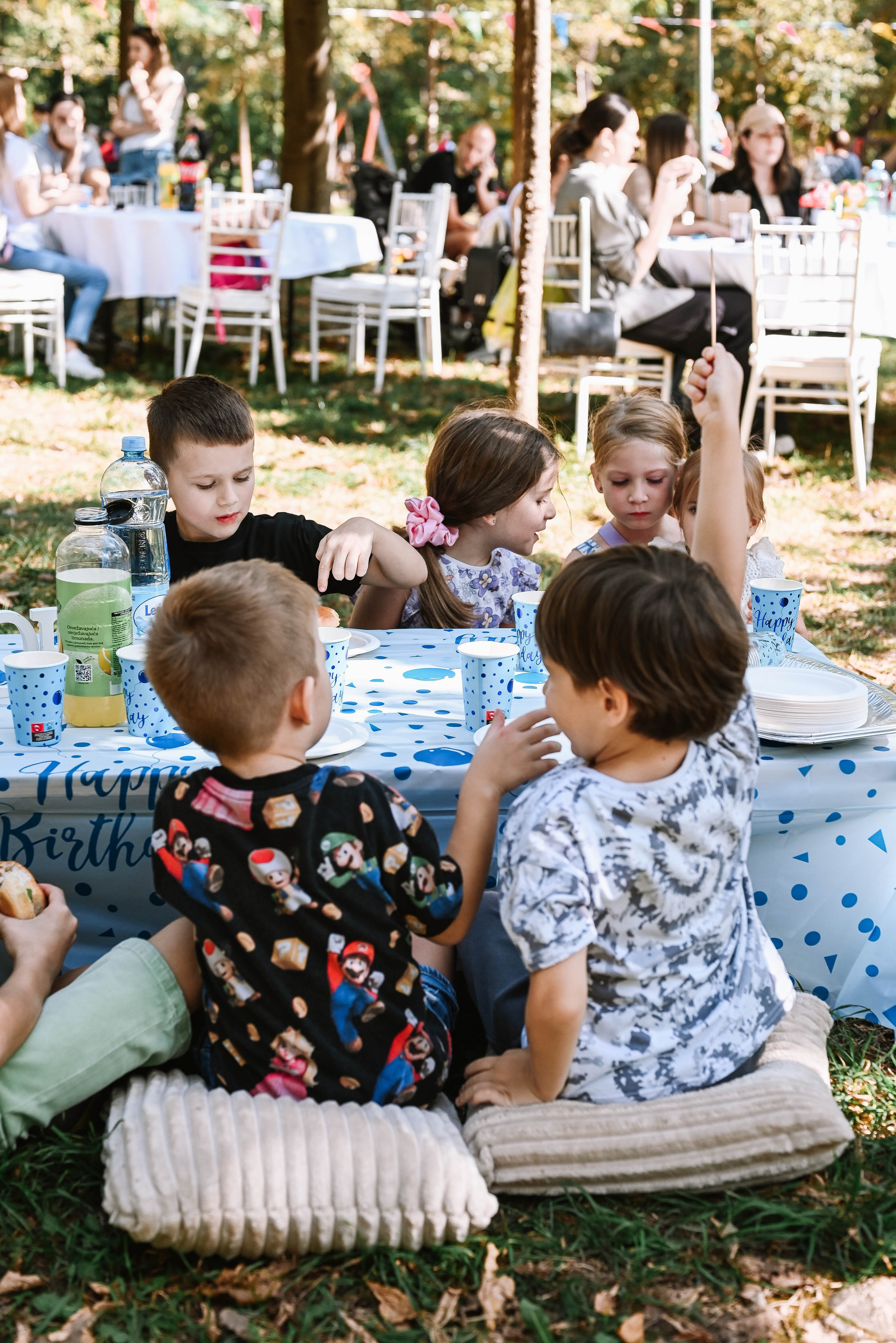 Novak 5. rođendan. Dečiji i porodični fotograf