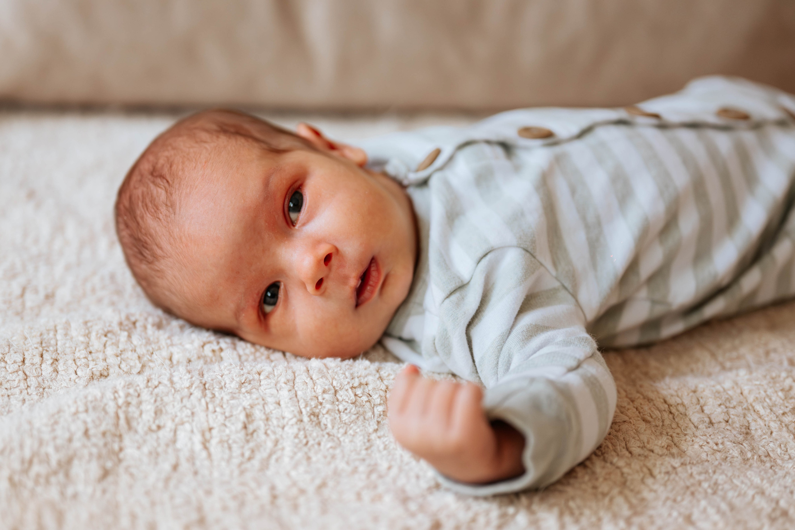 Bojan, Marija, Mihajlo, Viktor i Aleksa - porodično fotografisanje. Dečiji i porodični fotograf