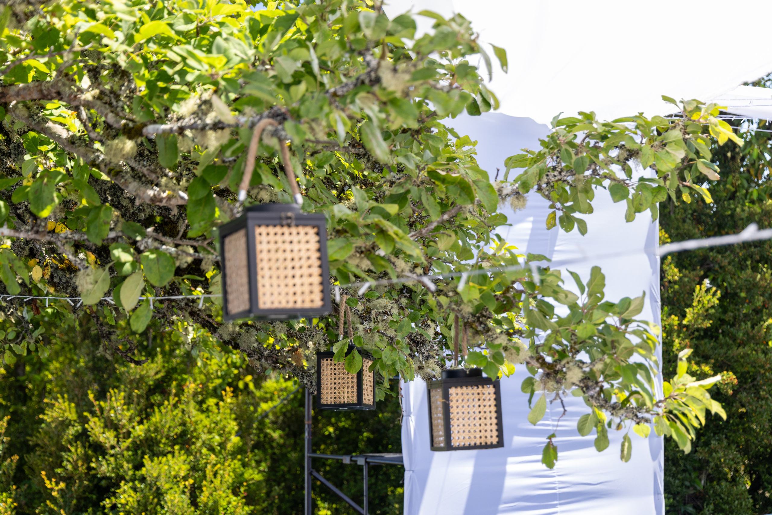 Maritza y Alen. Dinka & Emilio - El arte de preservar lo que no se repite