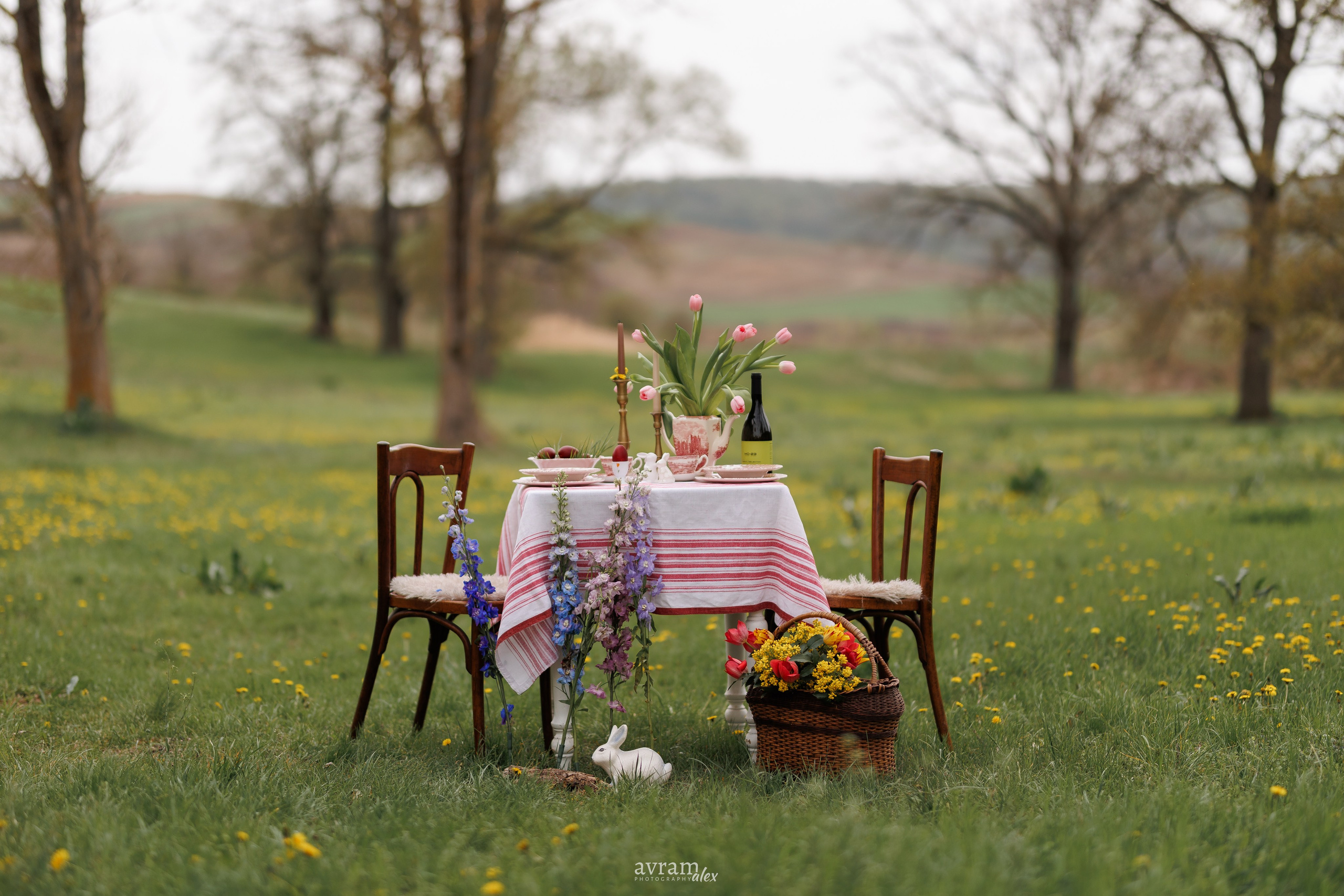 Pivnita Savu. Alexandru Avram | Photographer