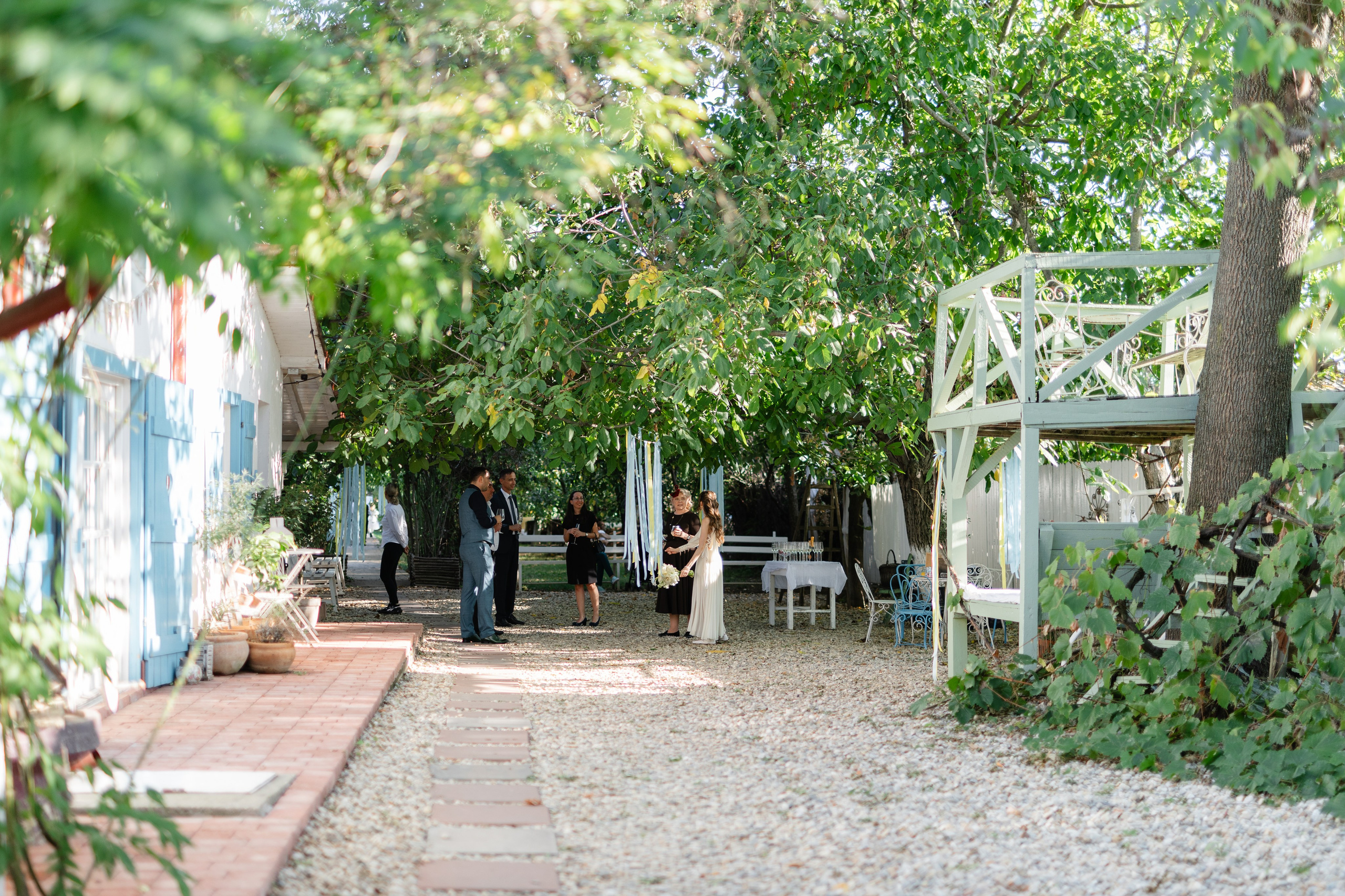 Natalia & Costin. Main