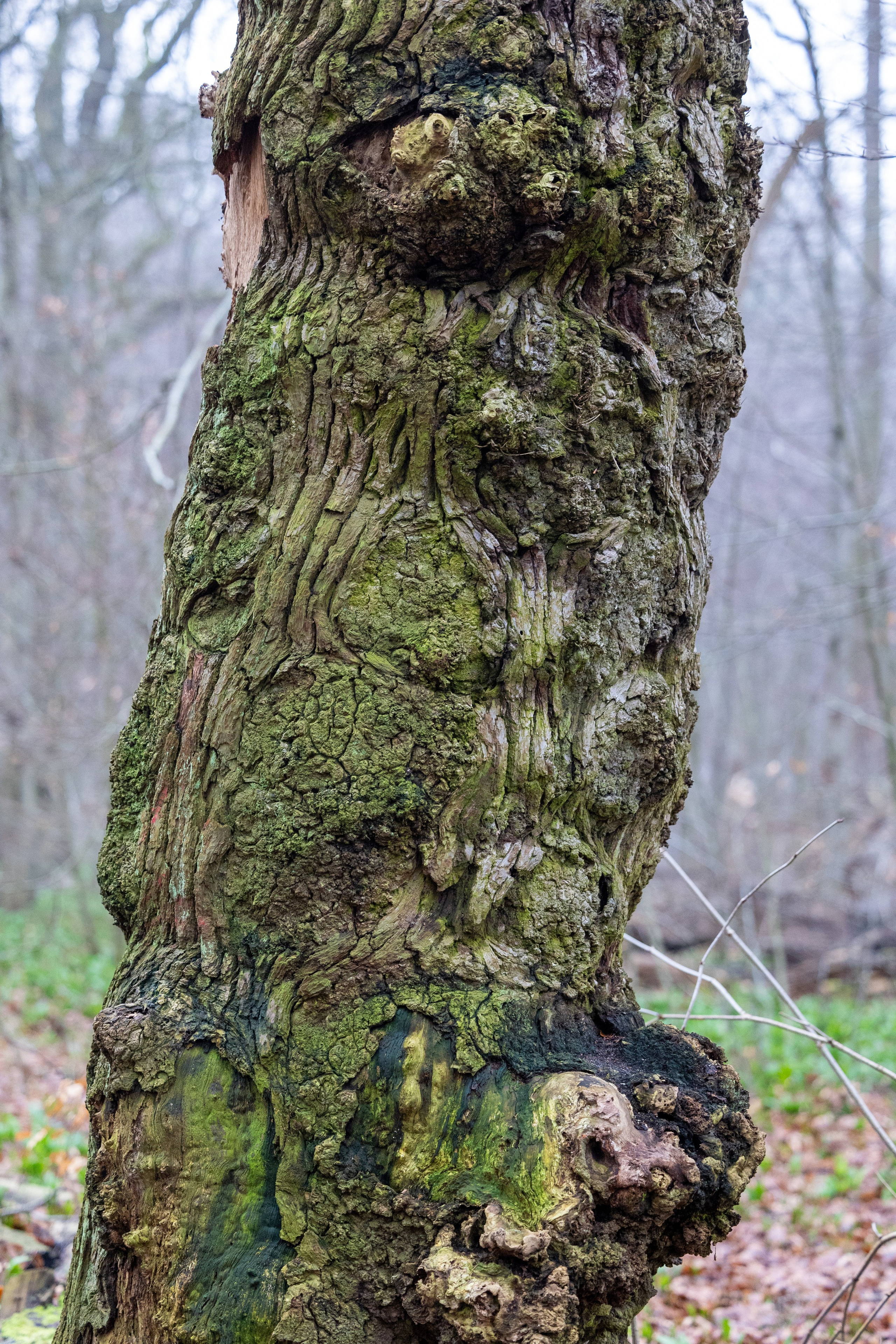 Forår. Fotograf Aarhus | Portrætfoto Århus | Flotte billeder