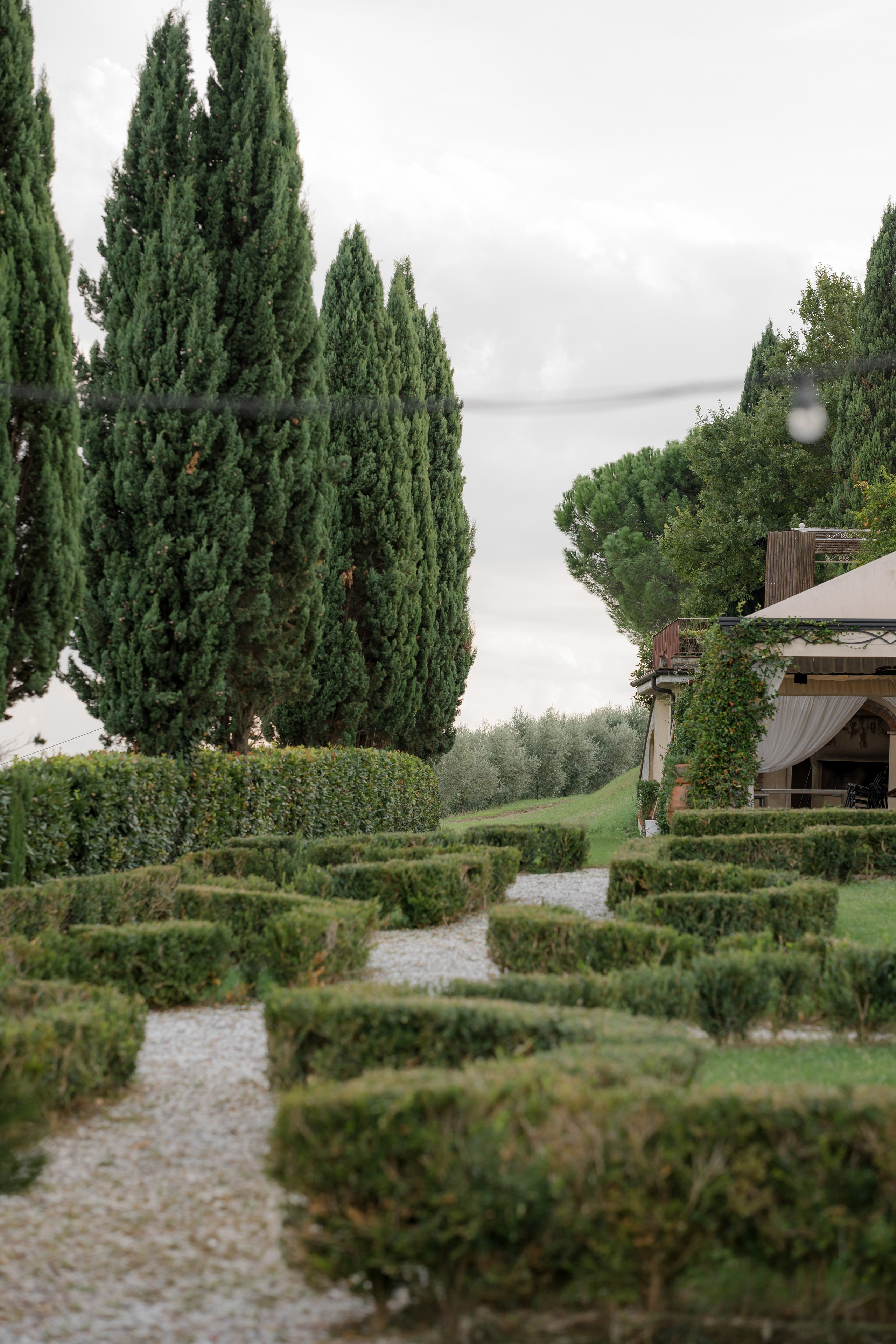 Dom&Ally. Весільний фотограф Вікторія Саврук